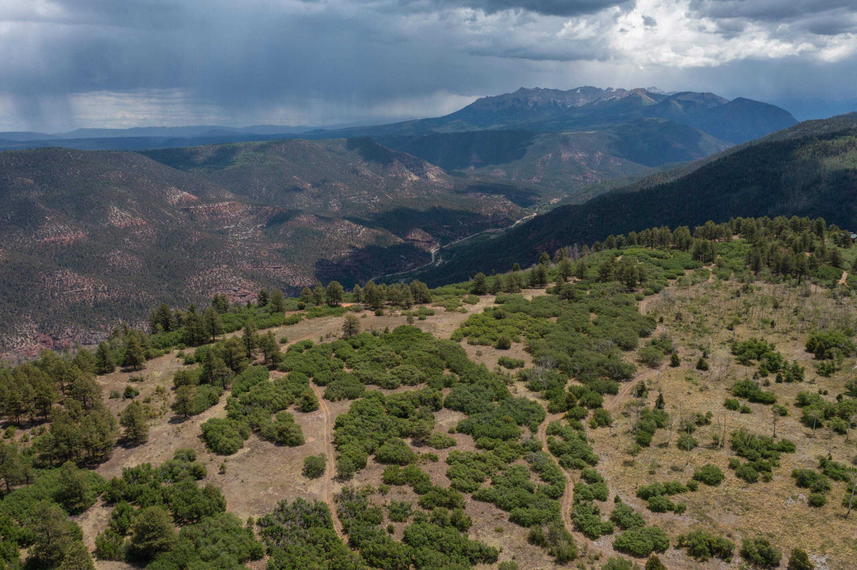 TBD Canyon Rim Loop