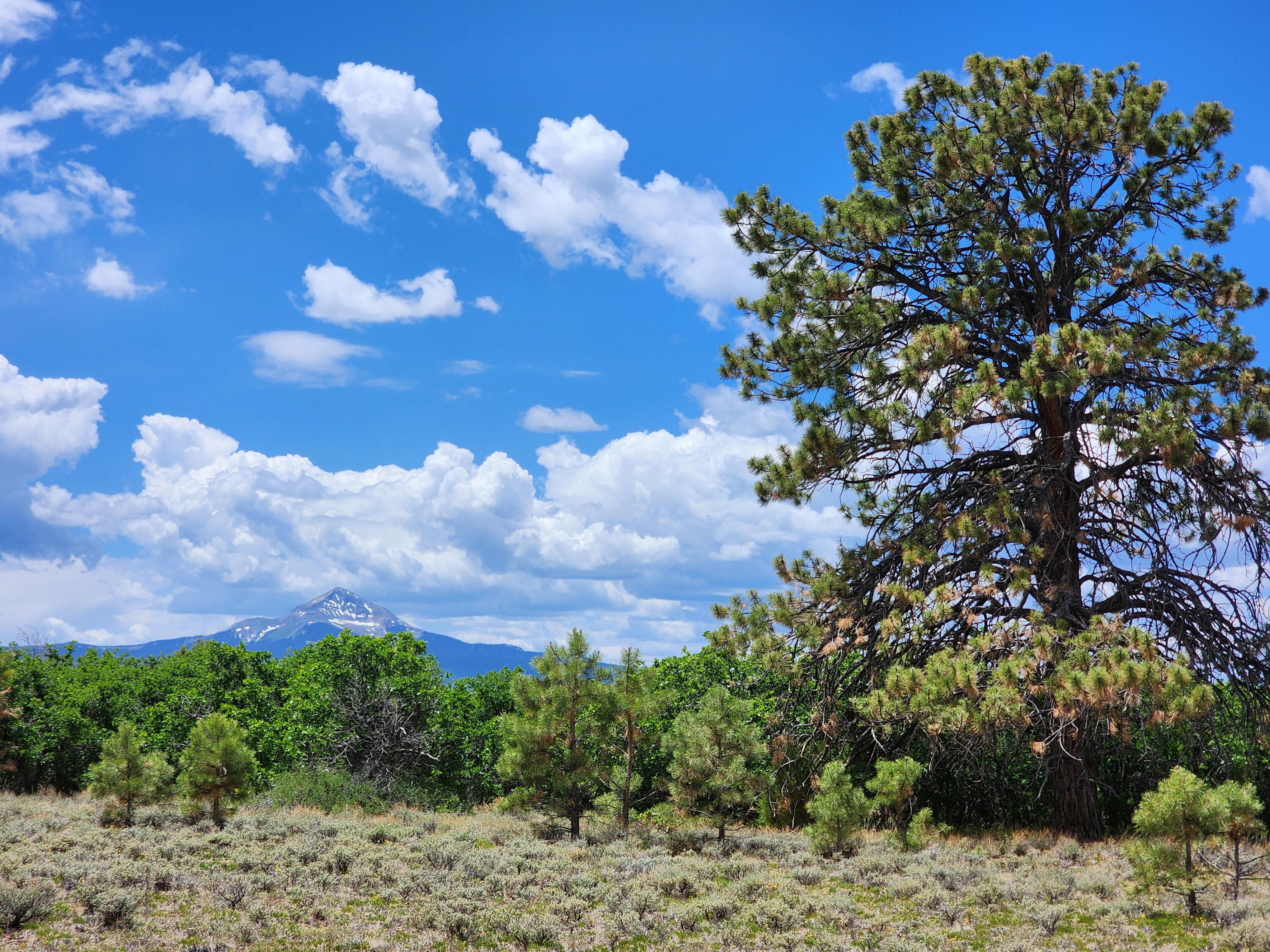 TBD Canyon Rim Loop