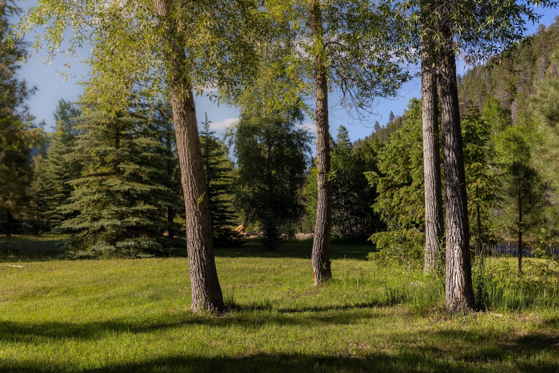 24110 County Road 37