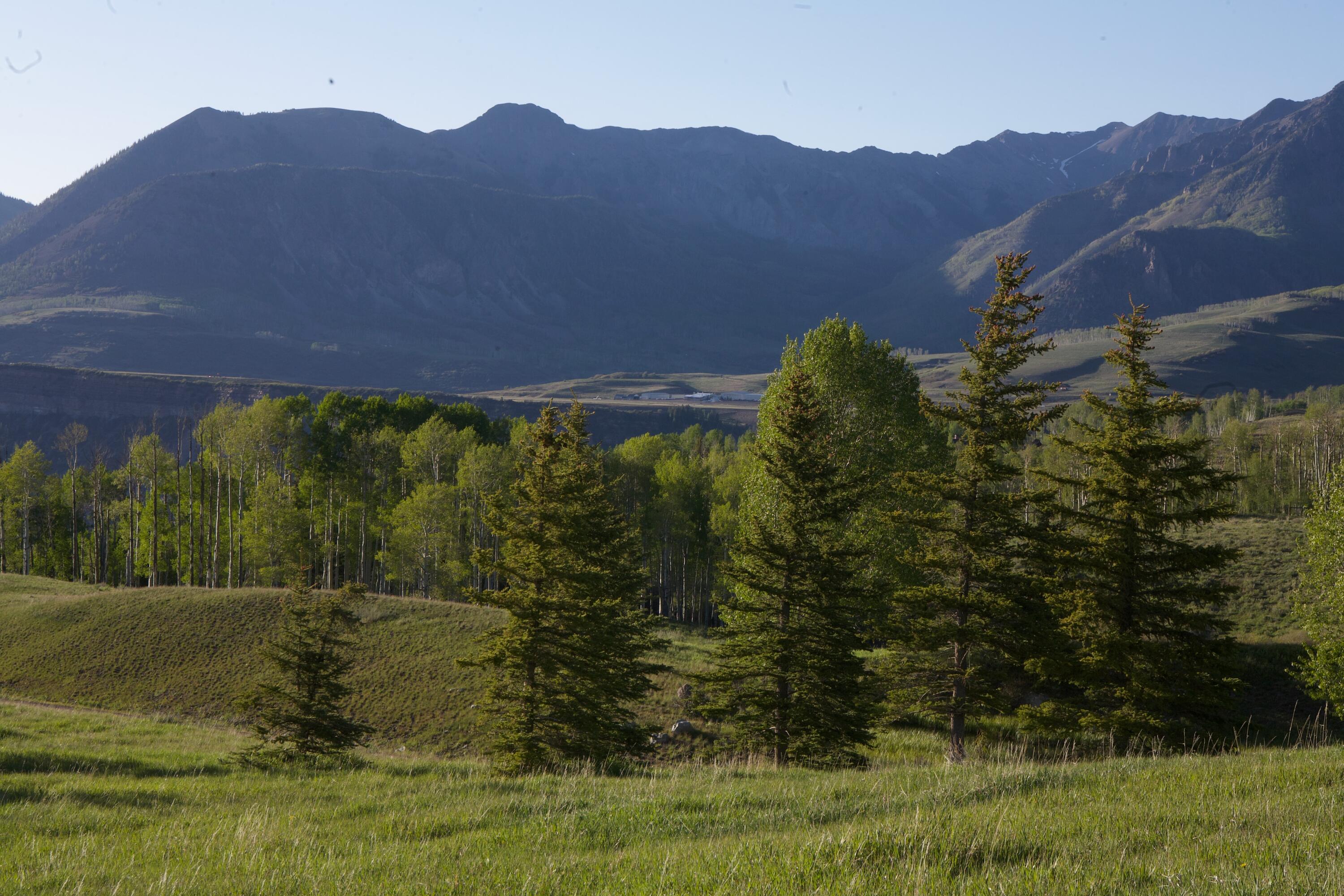 Lot 6 West Meadows South