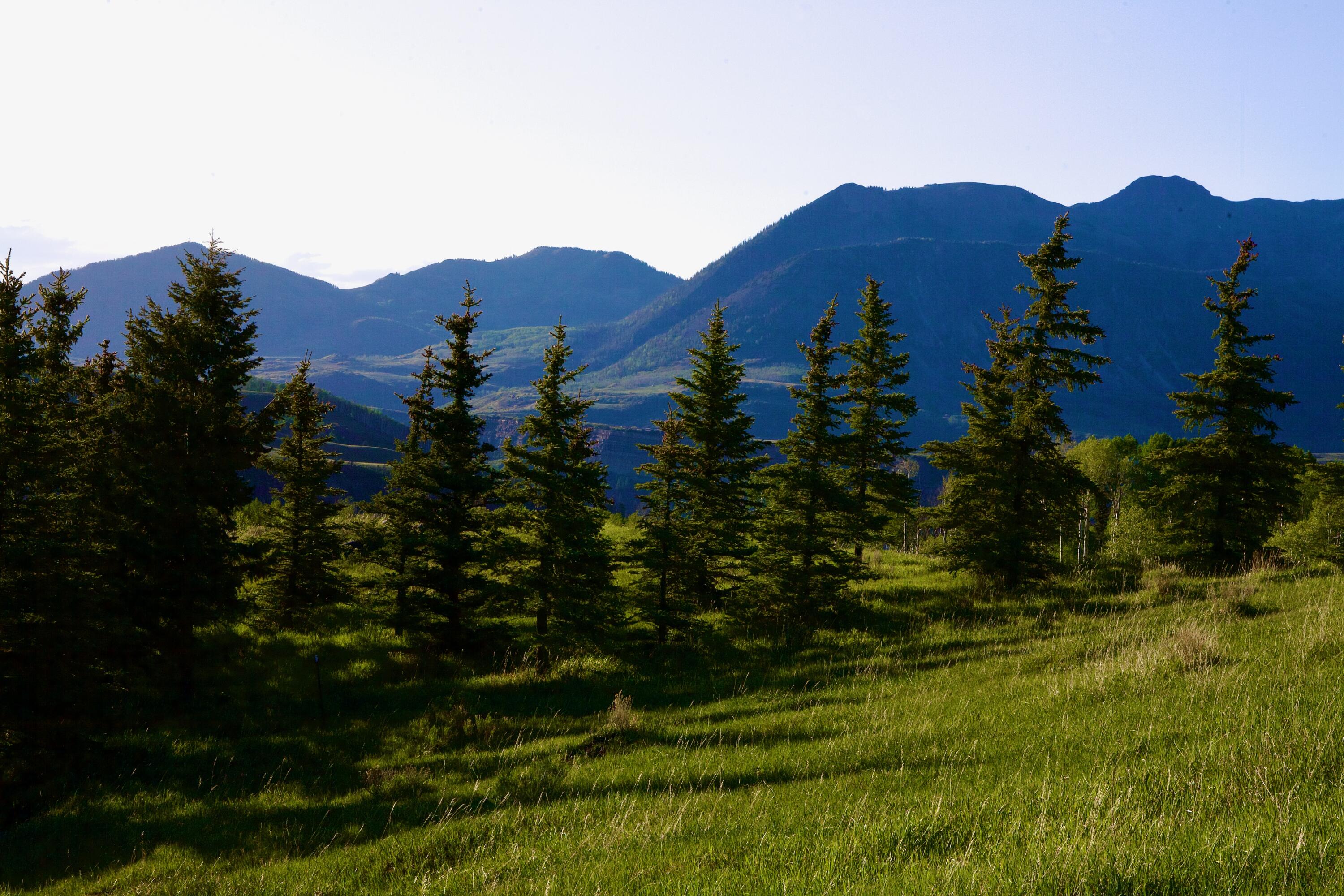 Lot 6 West Meadows South