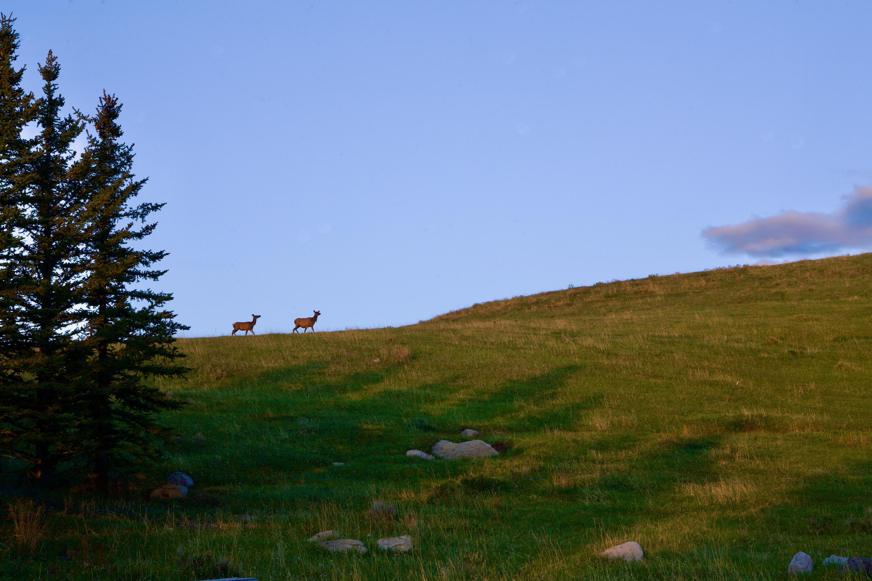 Lot 6 West Meadows South