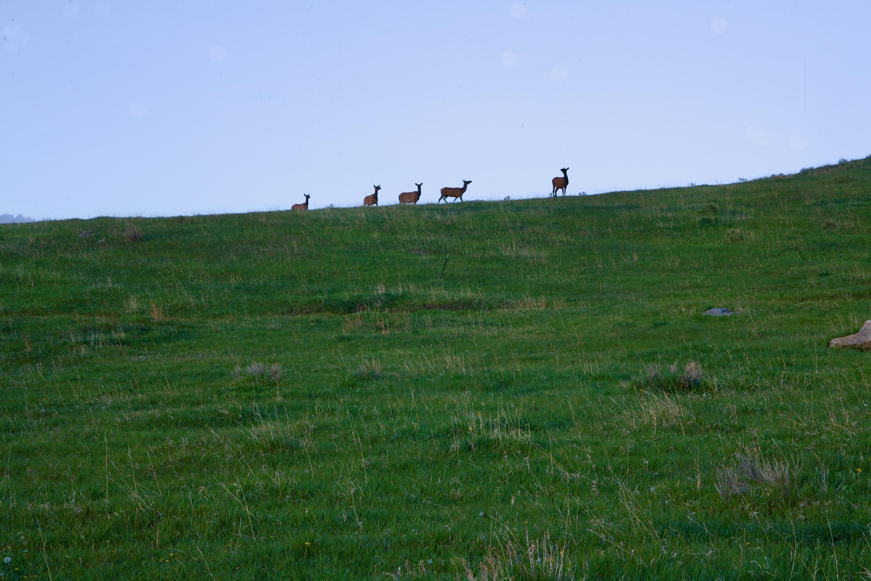 Lot 6 West Meadows South