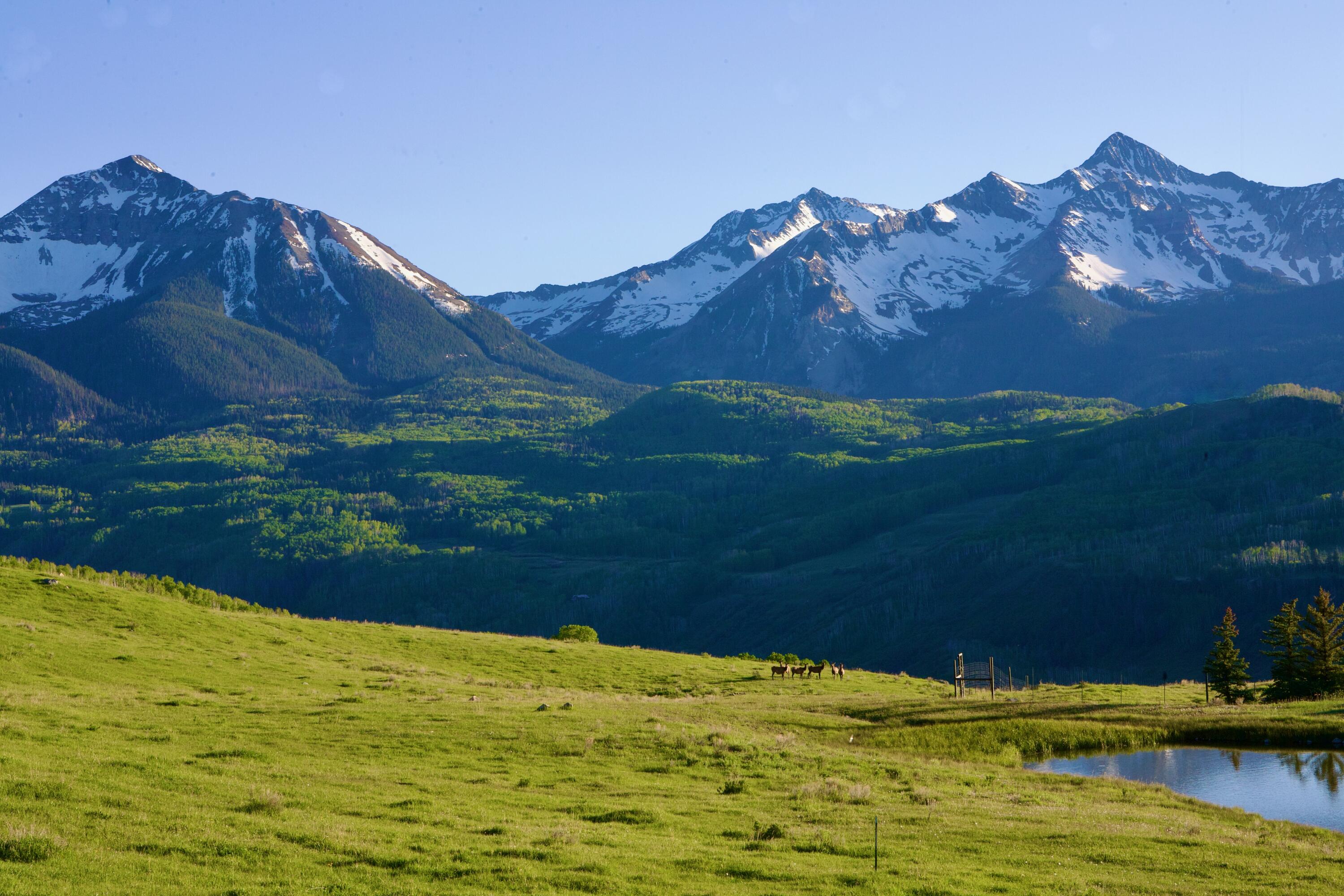 Lot 6 West Meadows South