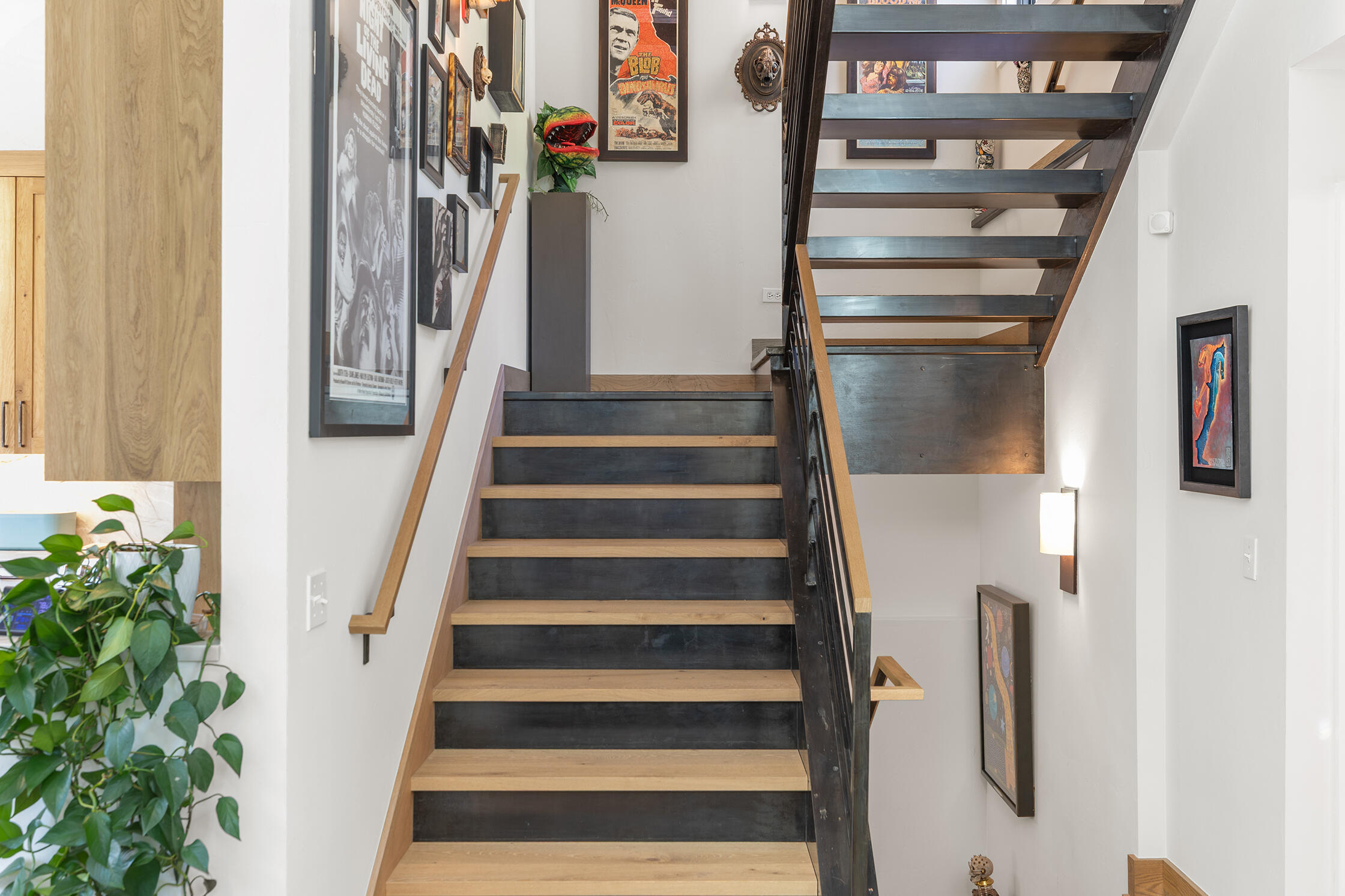 937 Primrose Lane