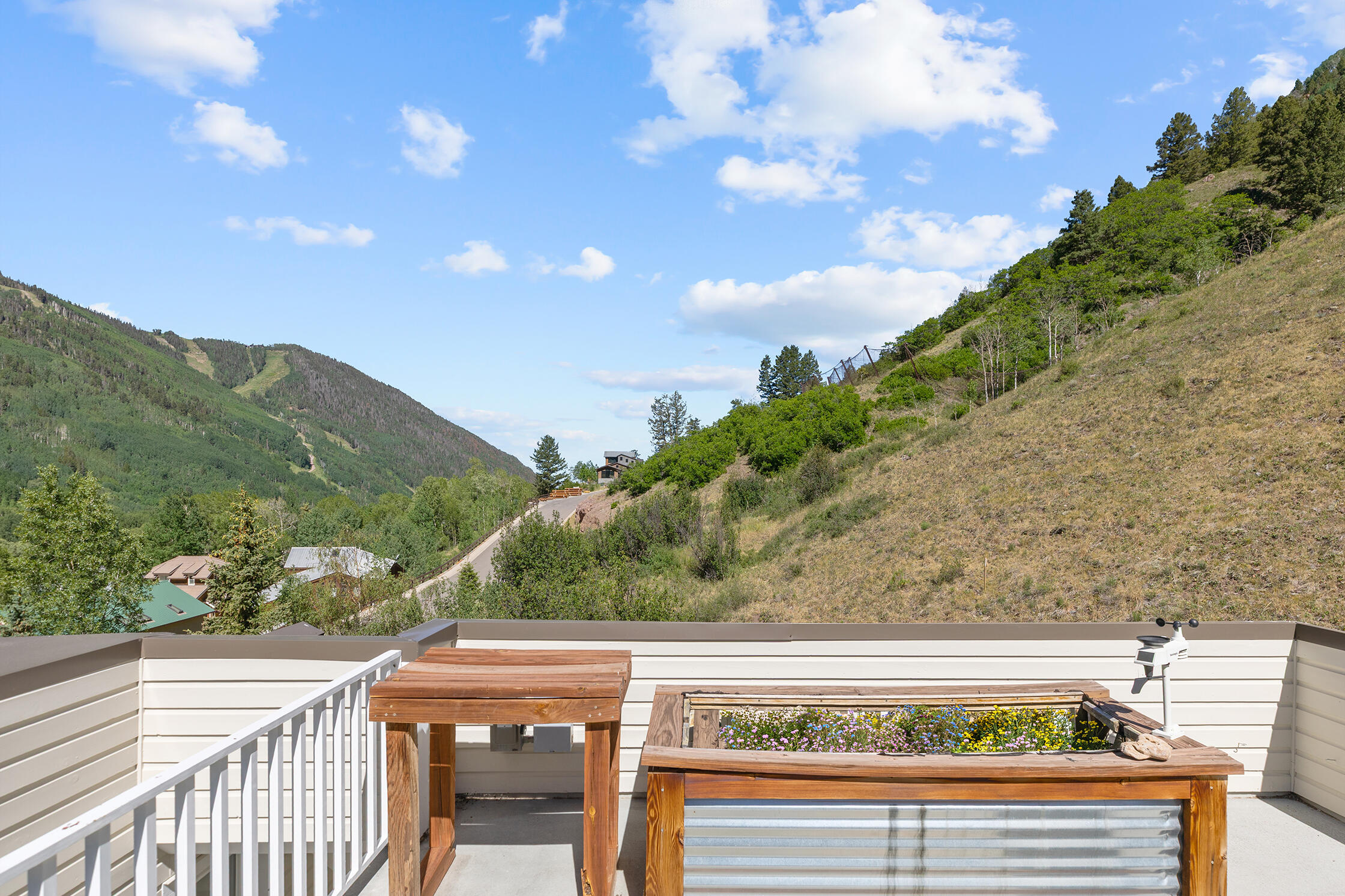 937 Primrose Lane