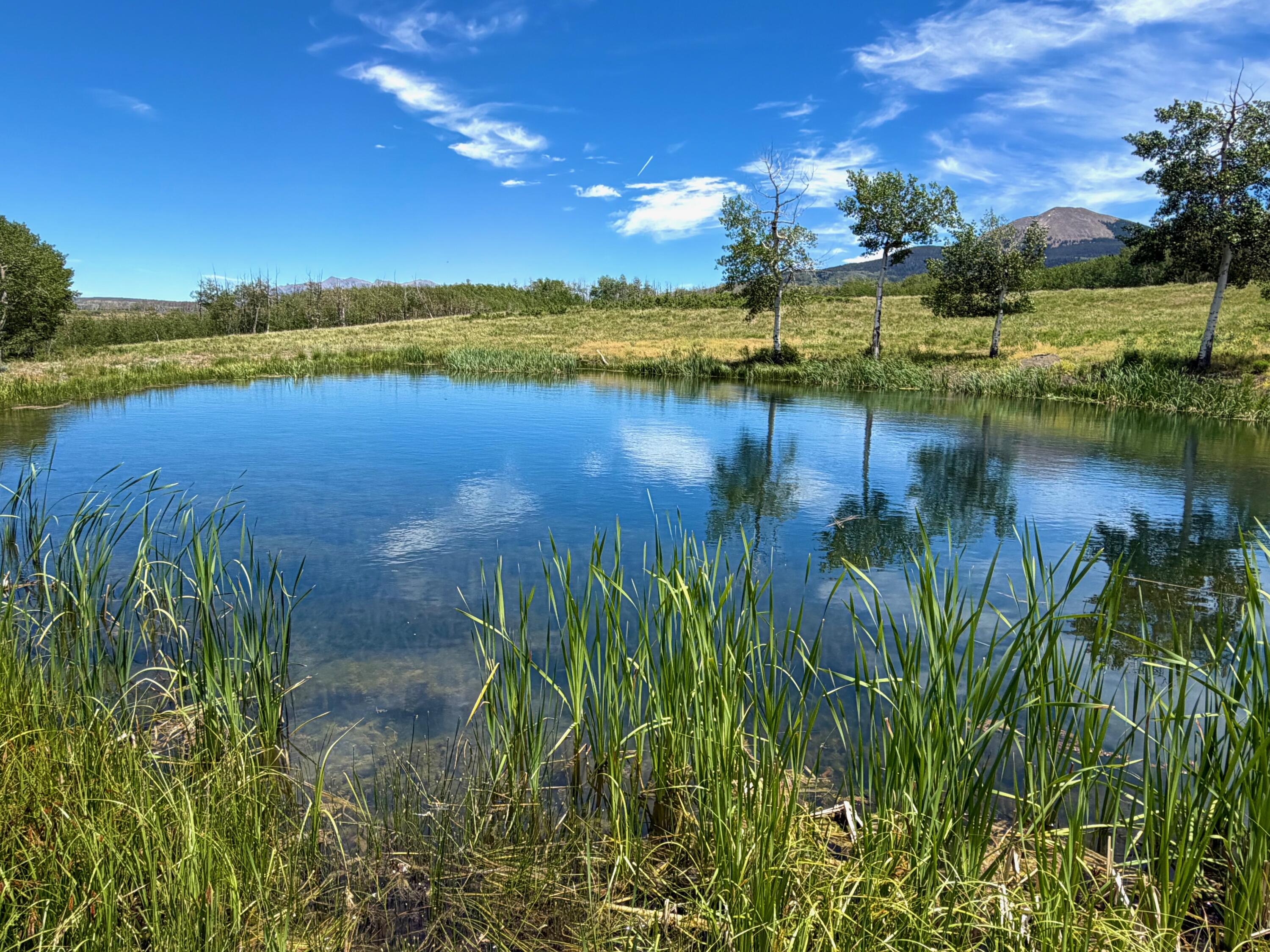 8076 County Road M44