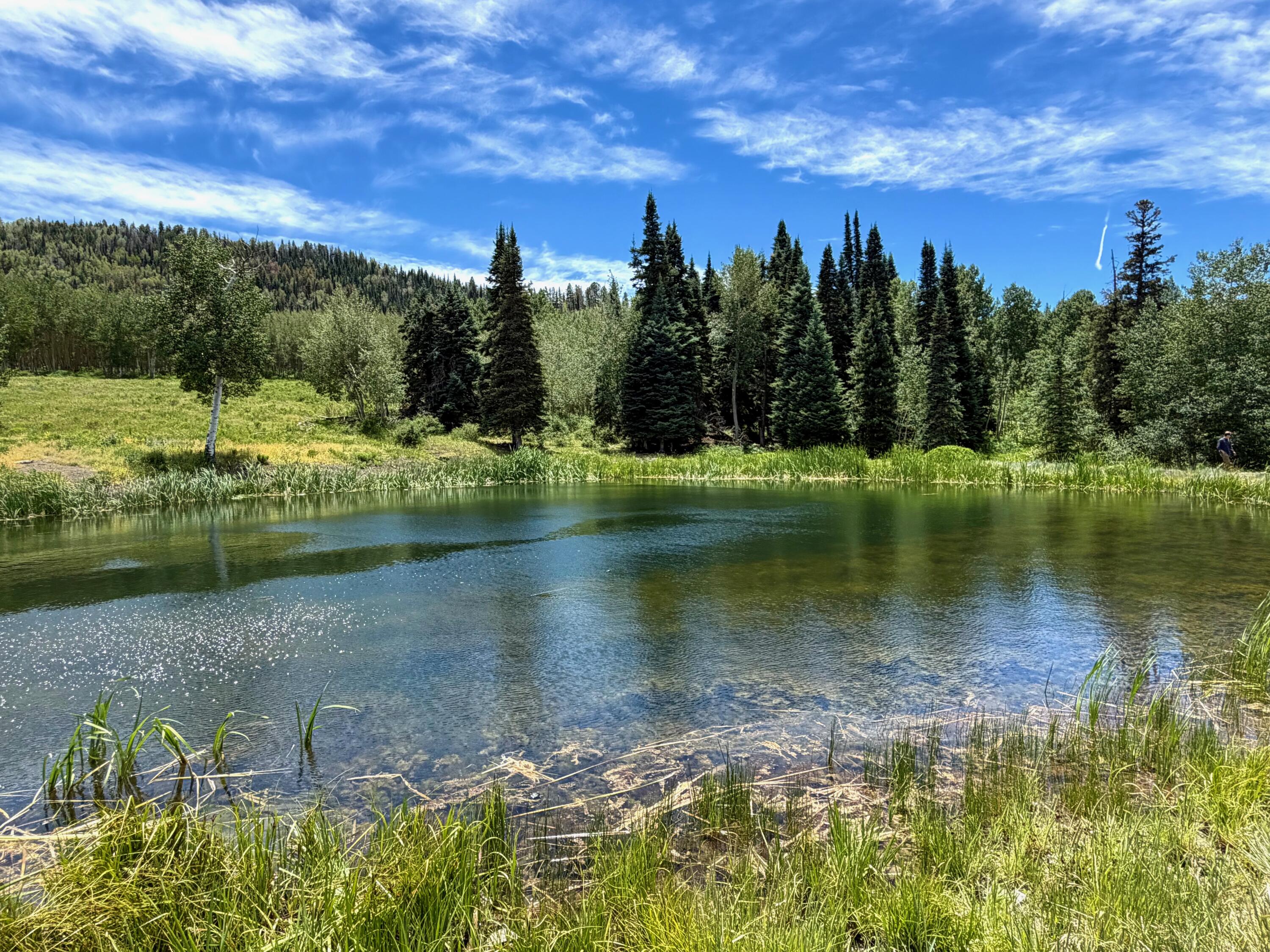 8076 County Road M44
