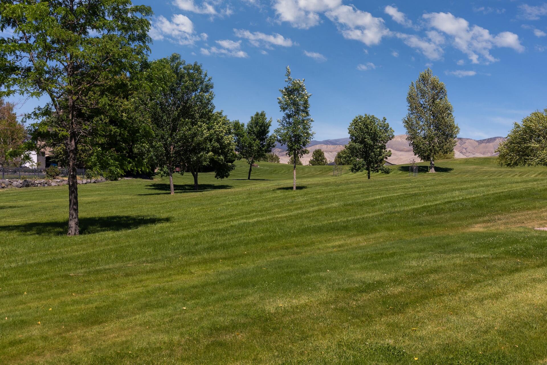 3339 Ivory Court