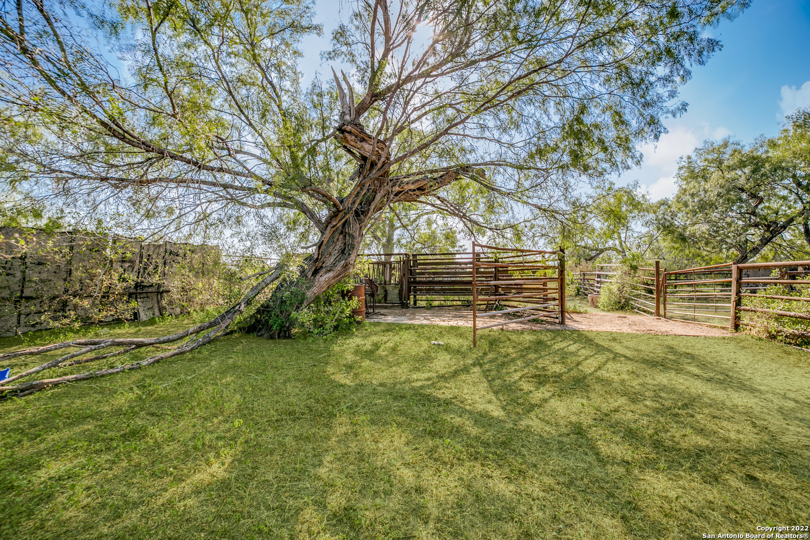 200 Acres in Kenedy TX | 000 CR 145