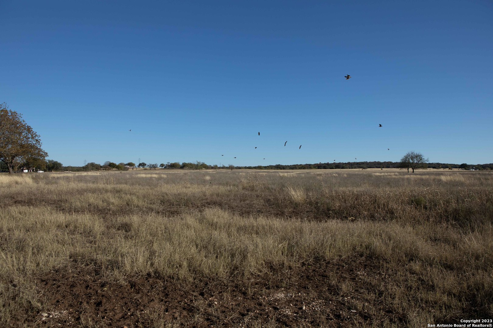  24.4+/-Acres on Guadalupe River | 46 FM 1621
