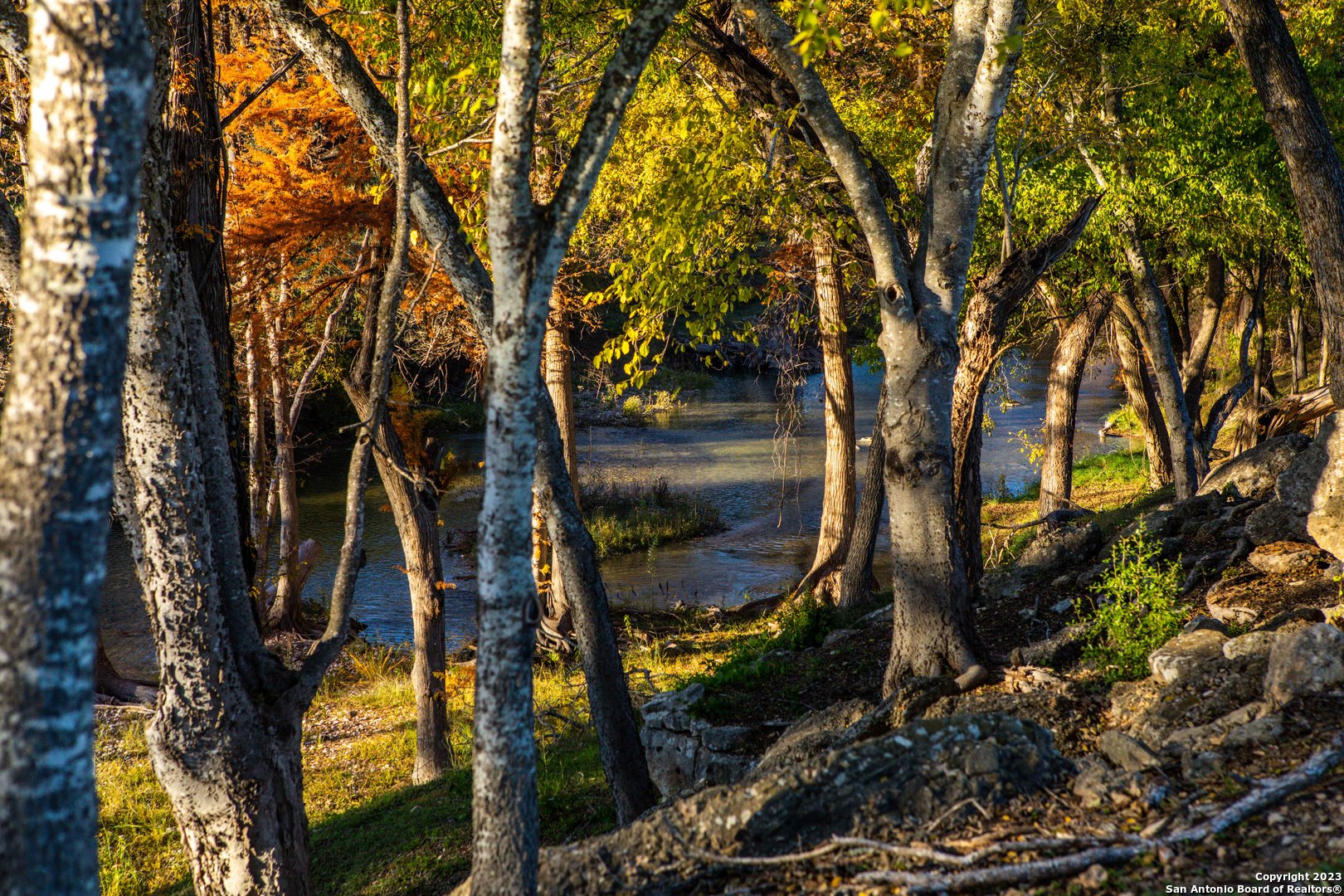  24.4+/-Acres on Guadalupe River | 46 FM 1621