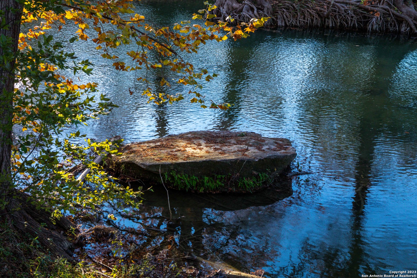  24.4+/-Acres on Guadalupe River | 46 FM 1621