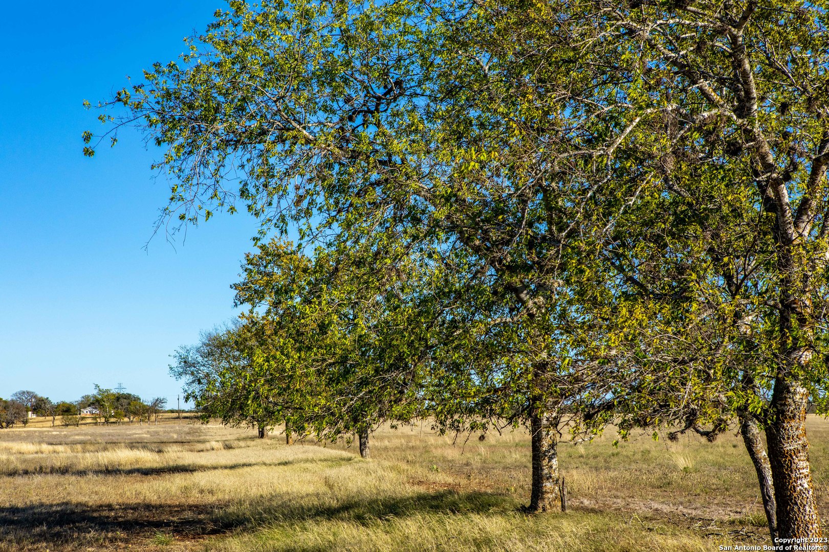  24.4+/-Acres on Guadalupe River | 46 FM 1621