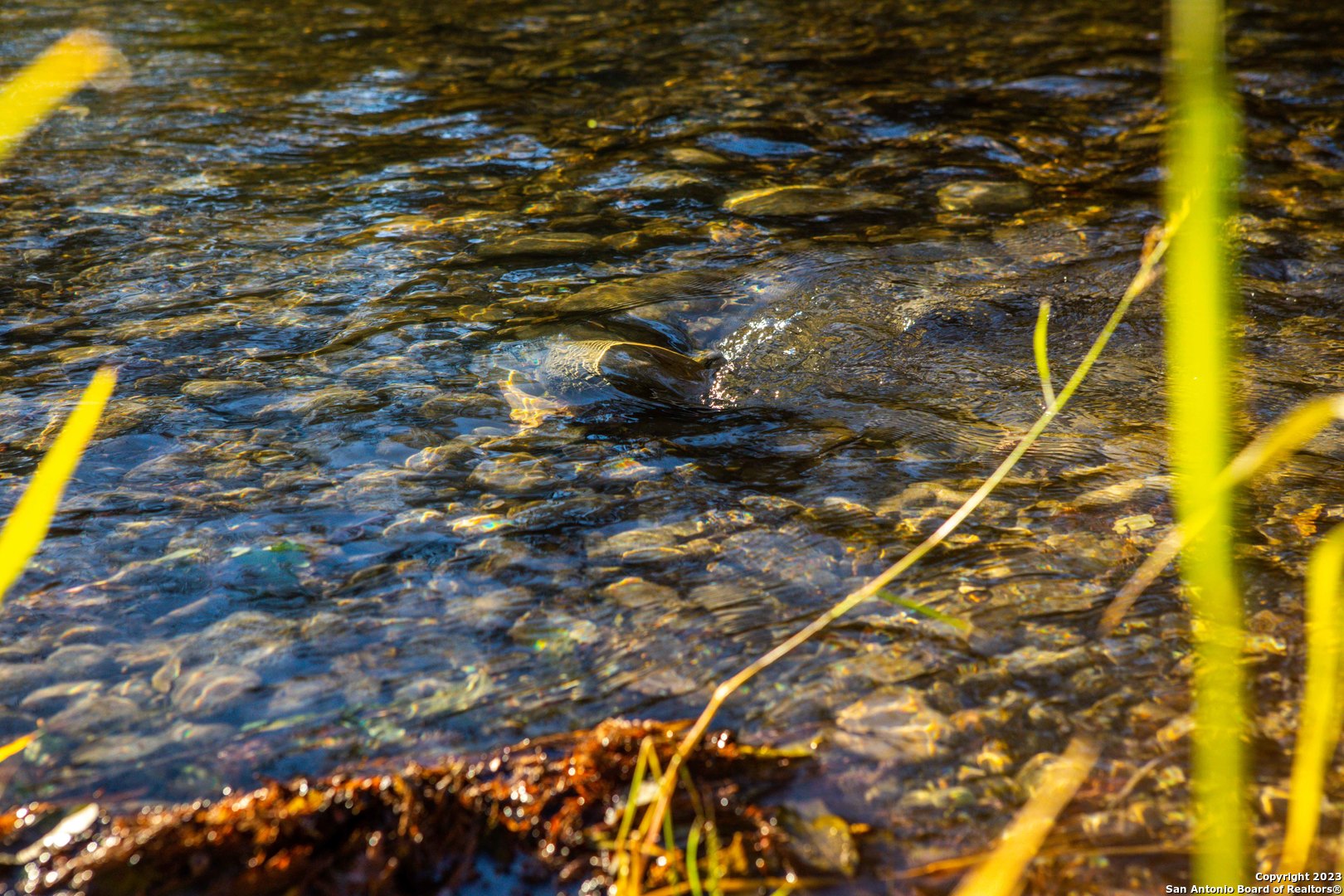  24.4+/-Acres on Guadalupe River | 46 FM 1621