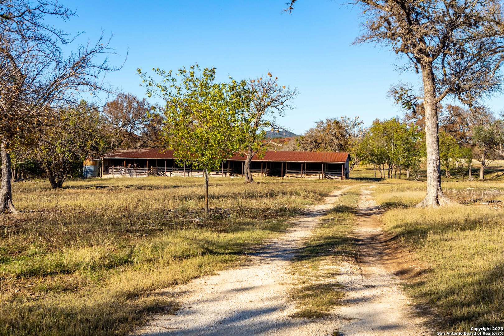  24.4+/-Acres on Guadalupe River | 46 FM 1621