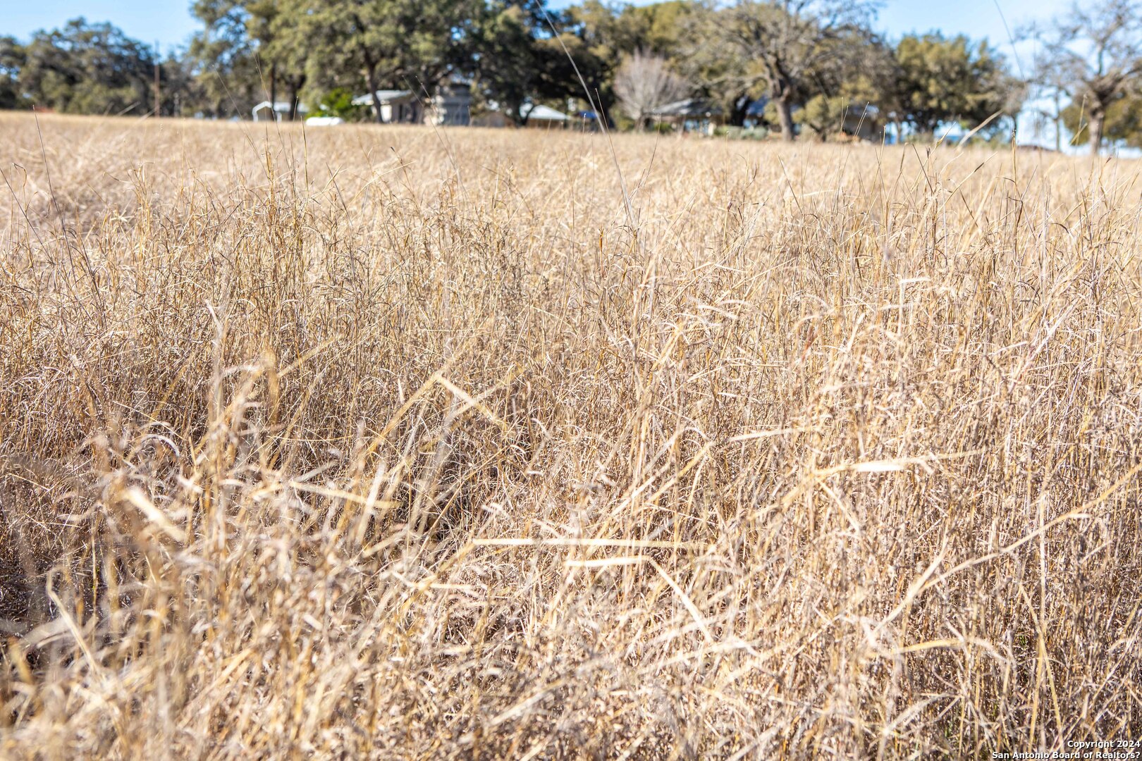 Prime Commercial Land | Lemon Creek Development | 6 Old Fredericksburg Rd