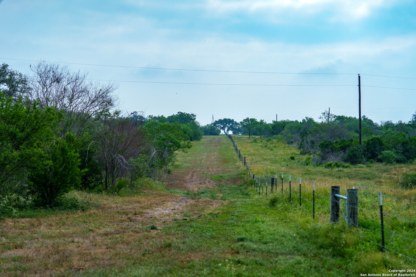 Bee County | 86.74+/- Acres 