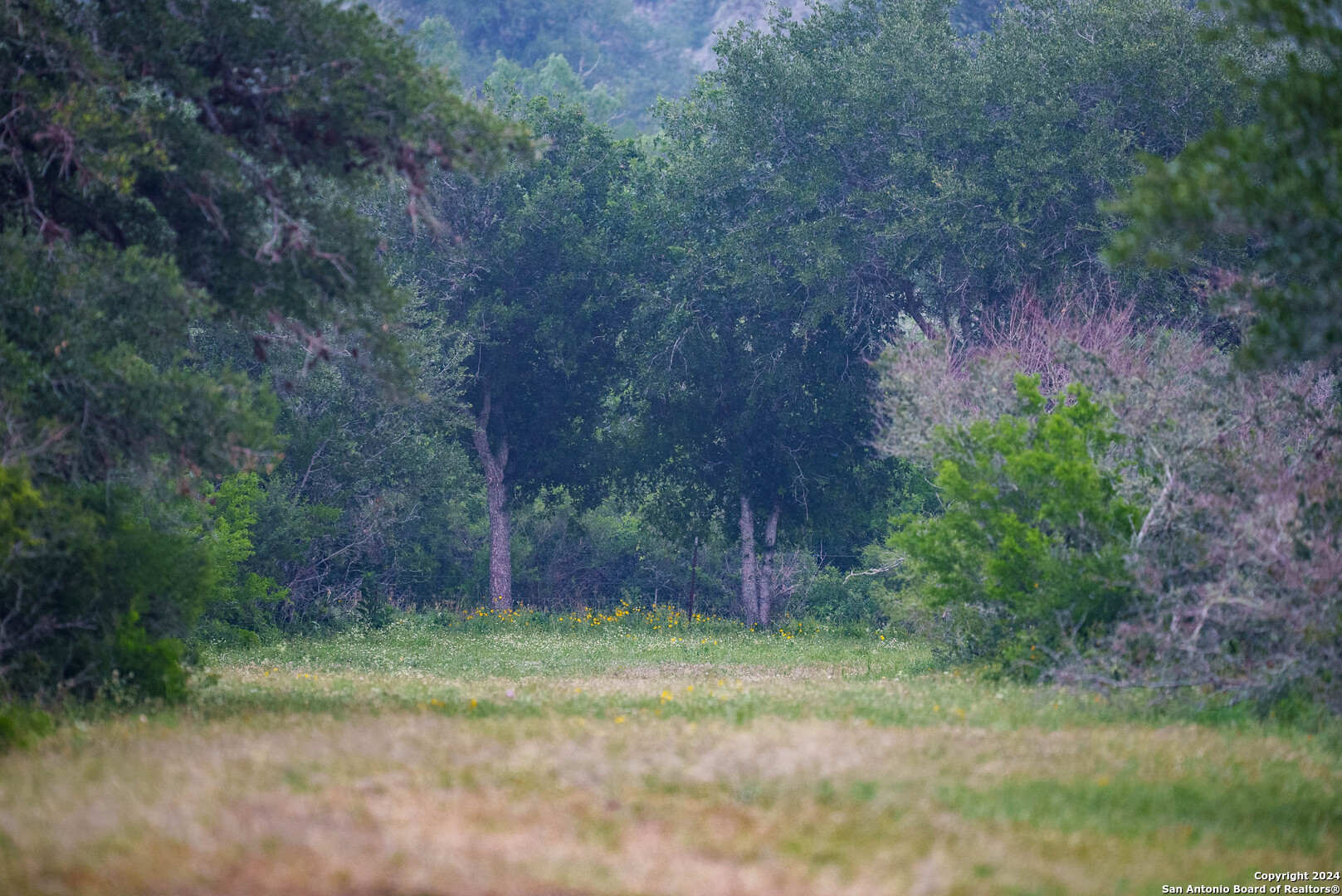 Bee County | 86.74+/- Acres 