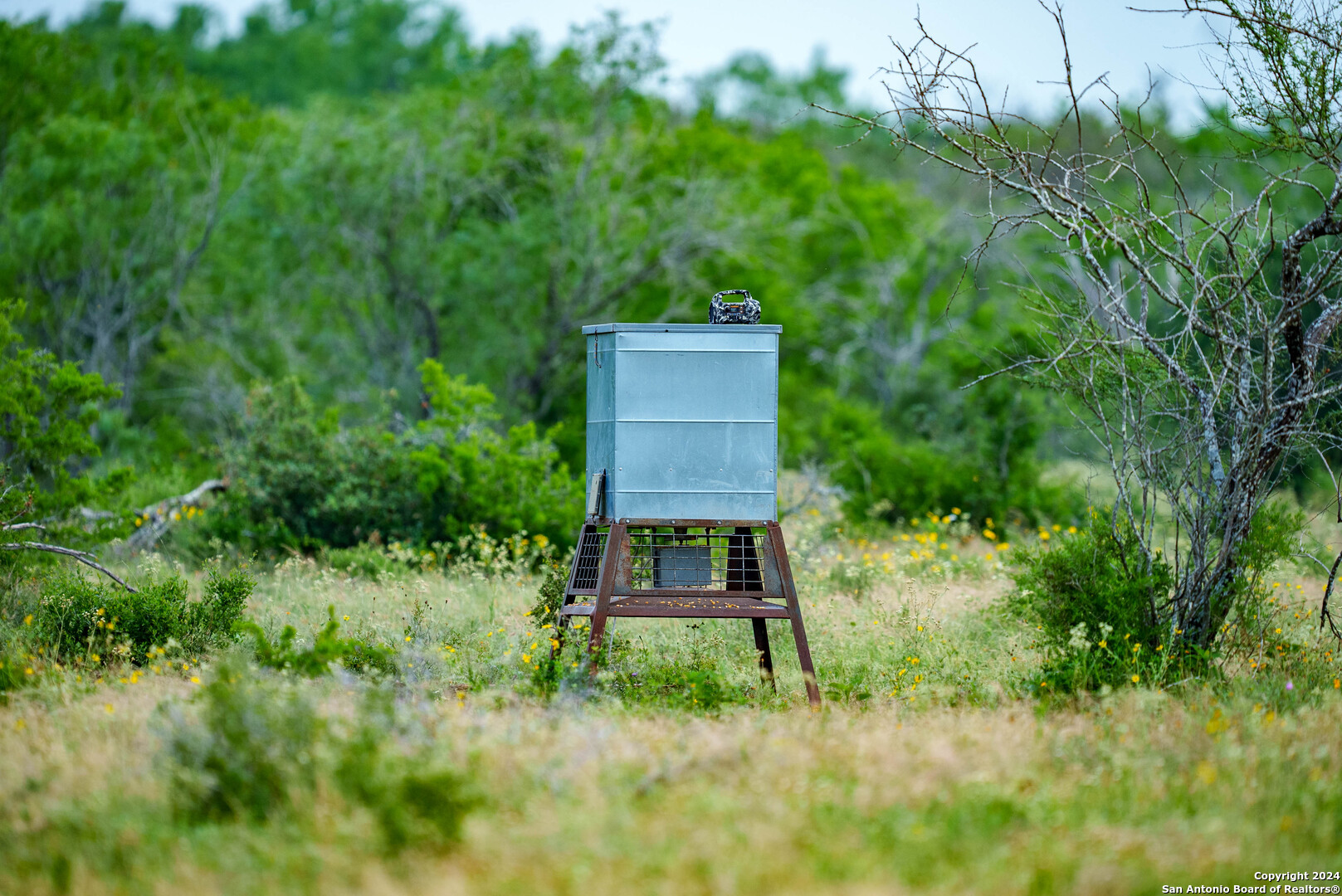 Bee County | 86.74+/- Acres 