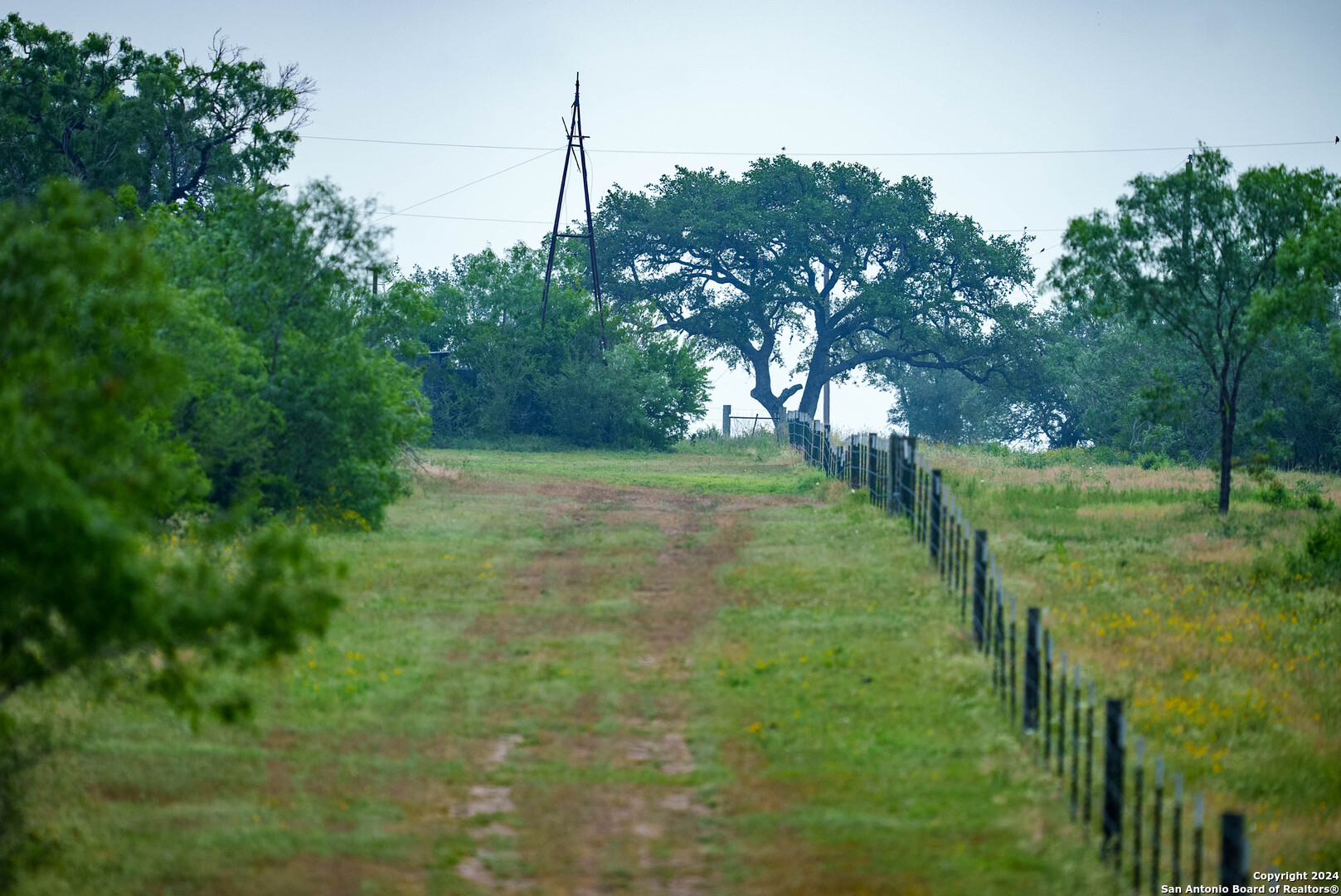 Bee County | 86.74+/- Acres 