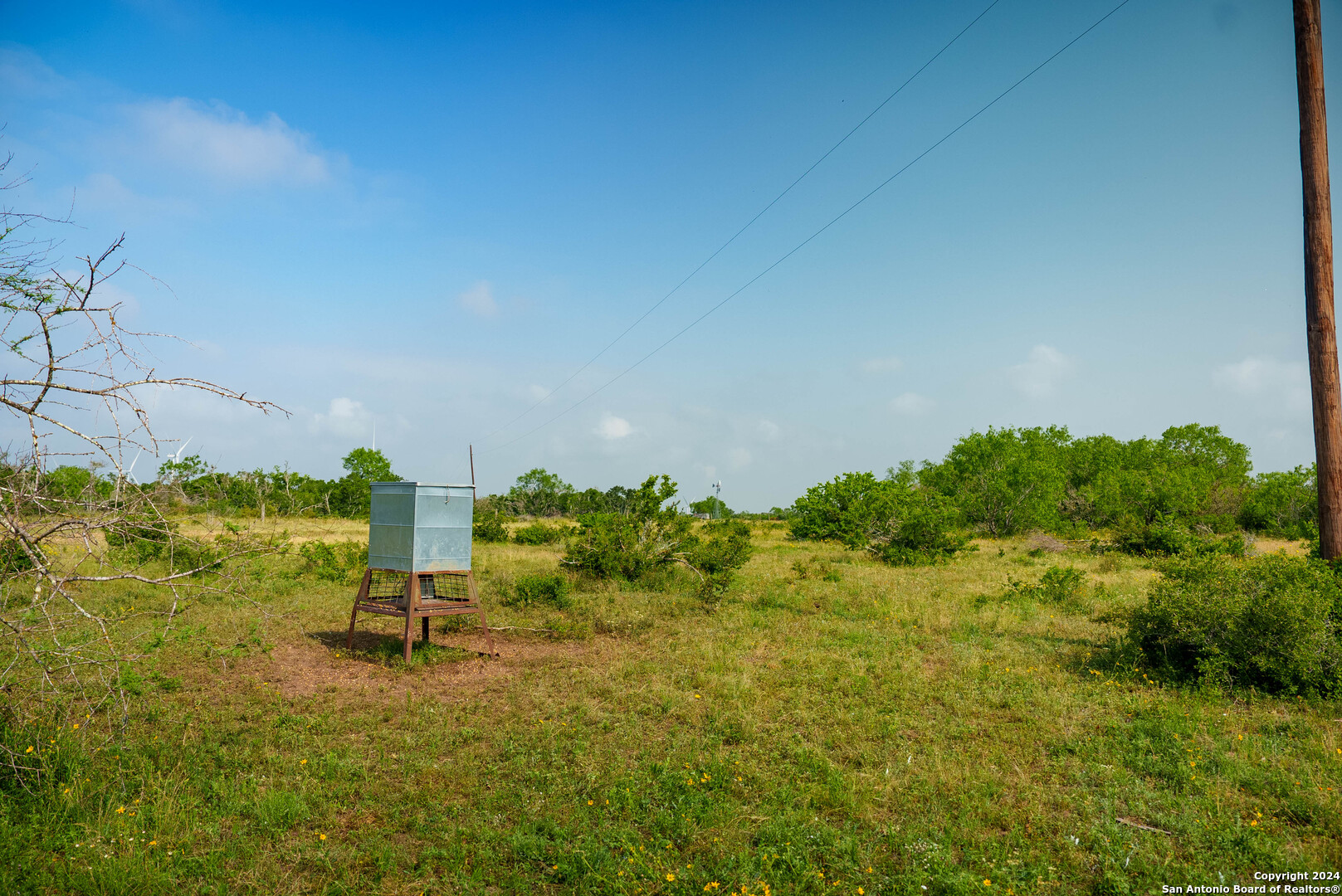 Bee County | 86.74+/- Acres 