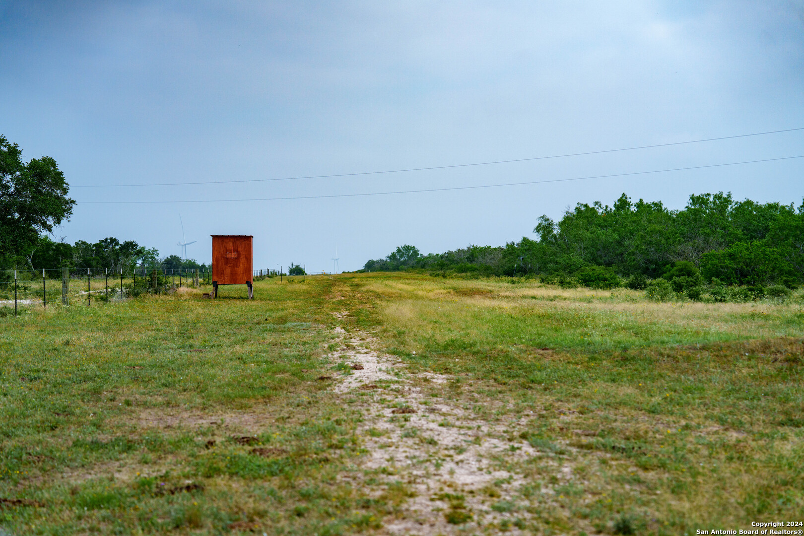 Bee County | 86.74+/- Acres 