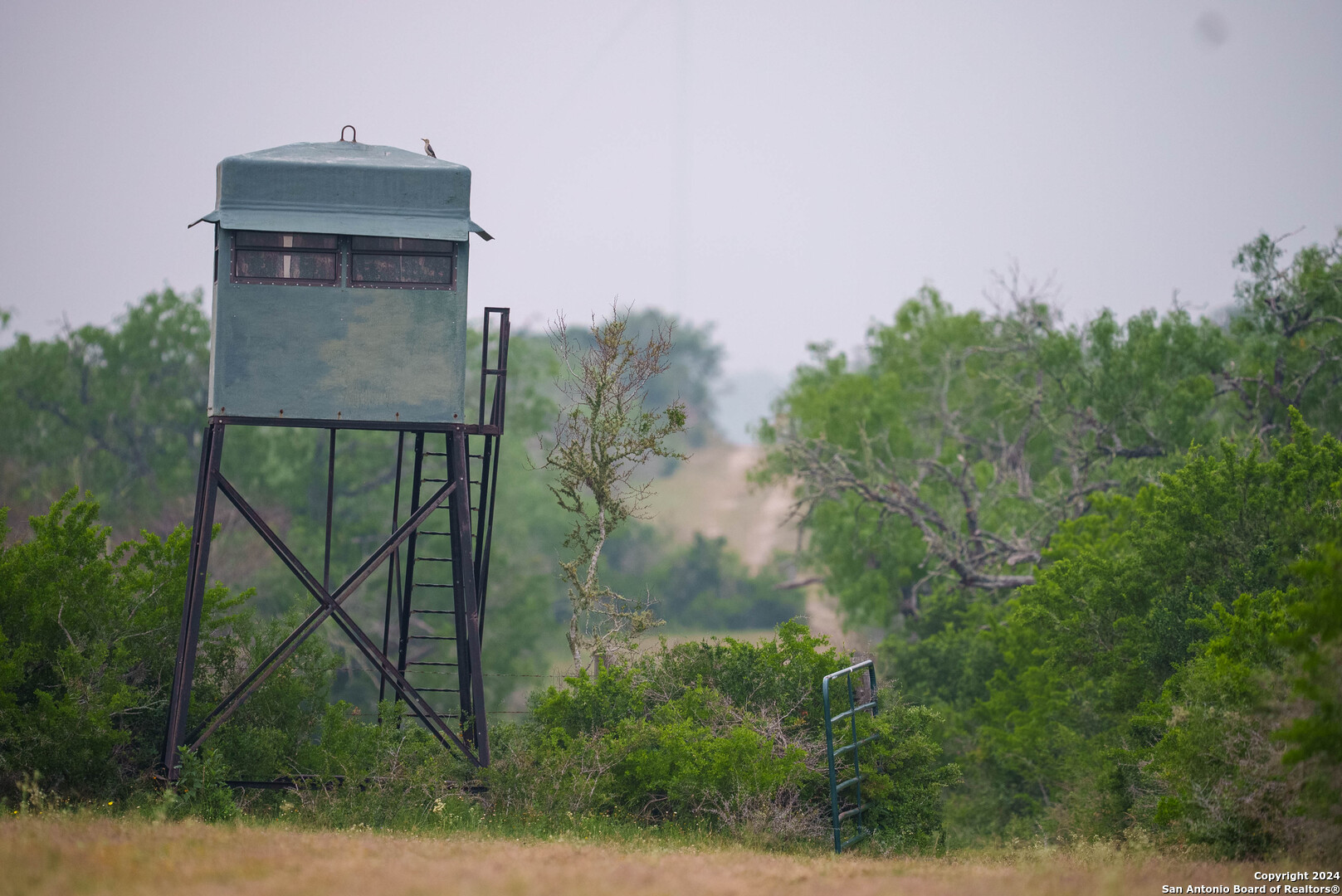 Bee County | 86.74+/- Acres 