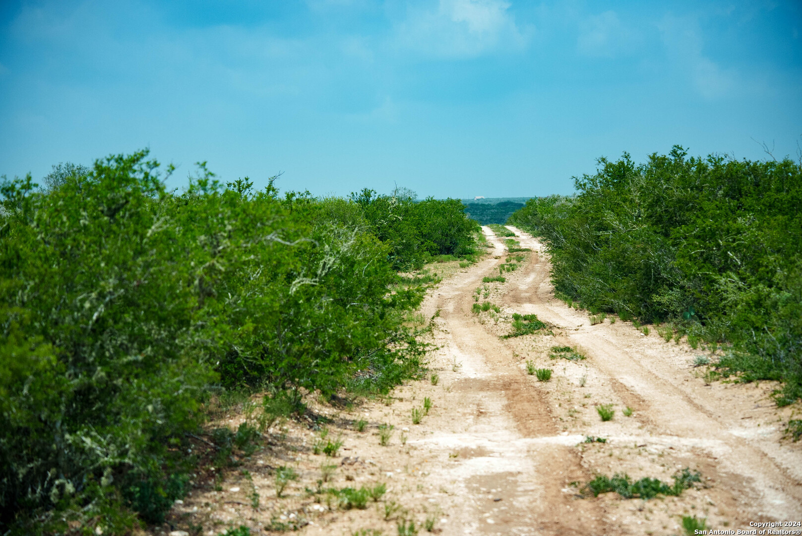 70 acres in Duval County | Ponderosa Ranch | 000 Hwy 339