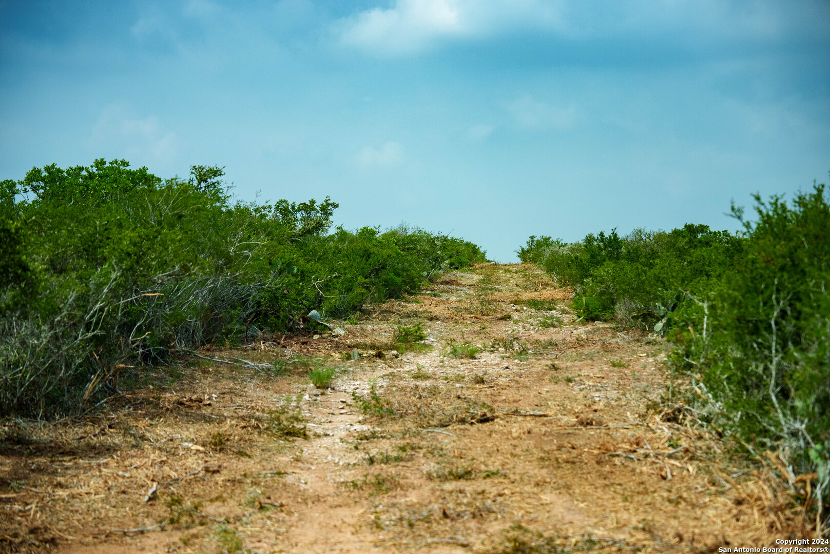 70 acres in Duval County | Ponderosa Ranch | 000 Hwy 339