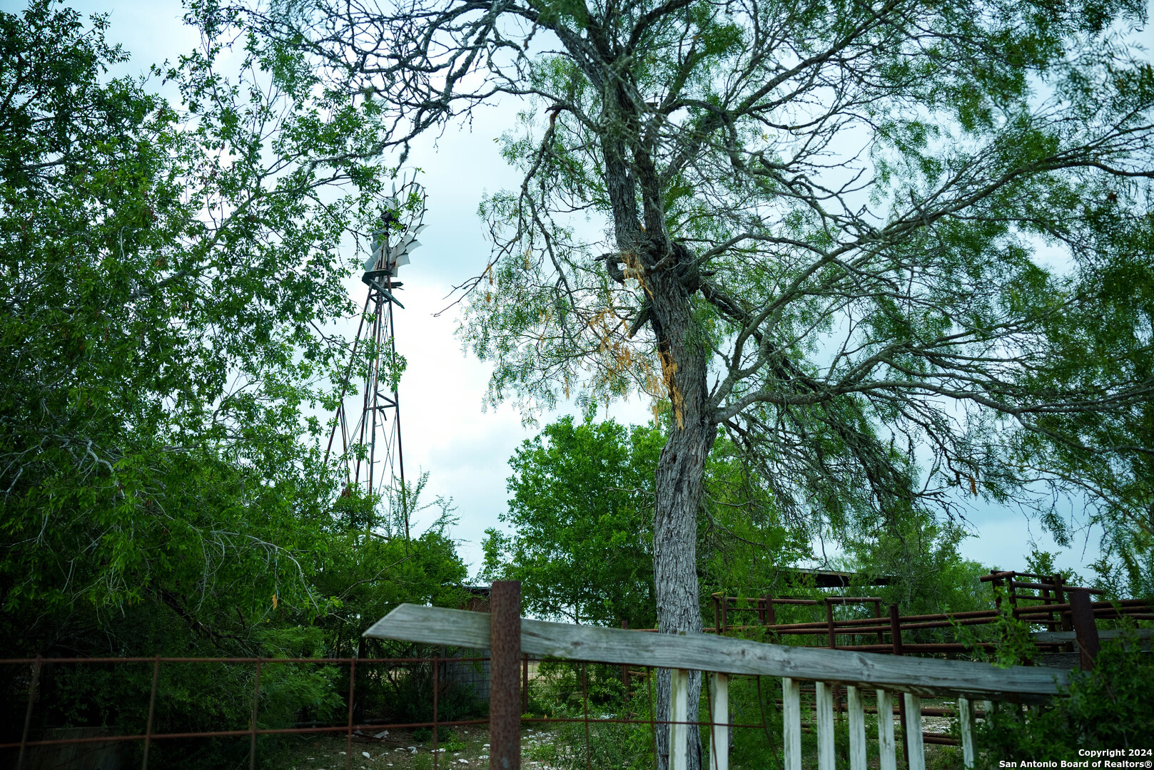 70 acres in Duval County | Ponderosa Ranch | 000 Hwy 339