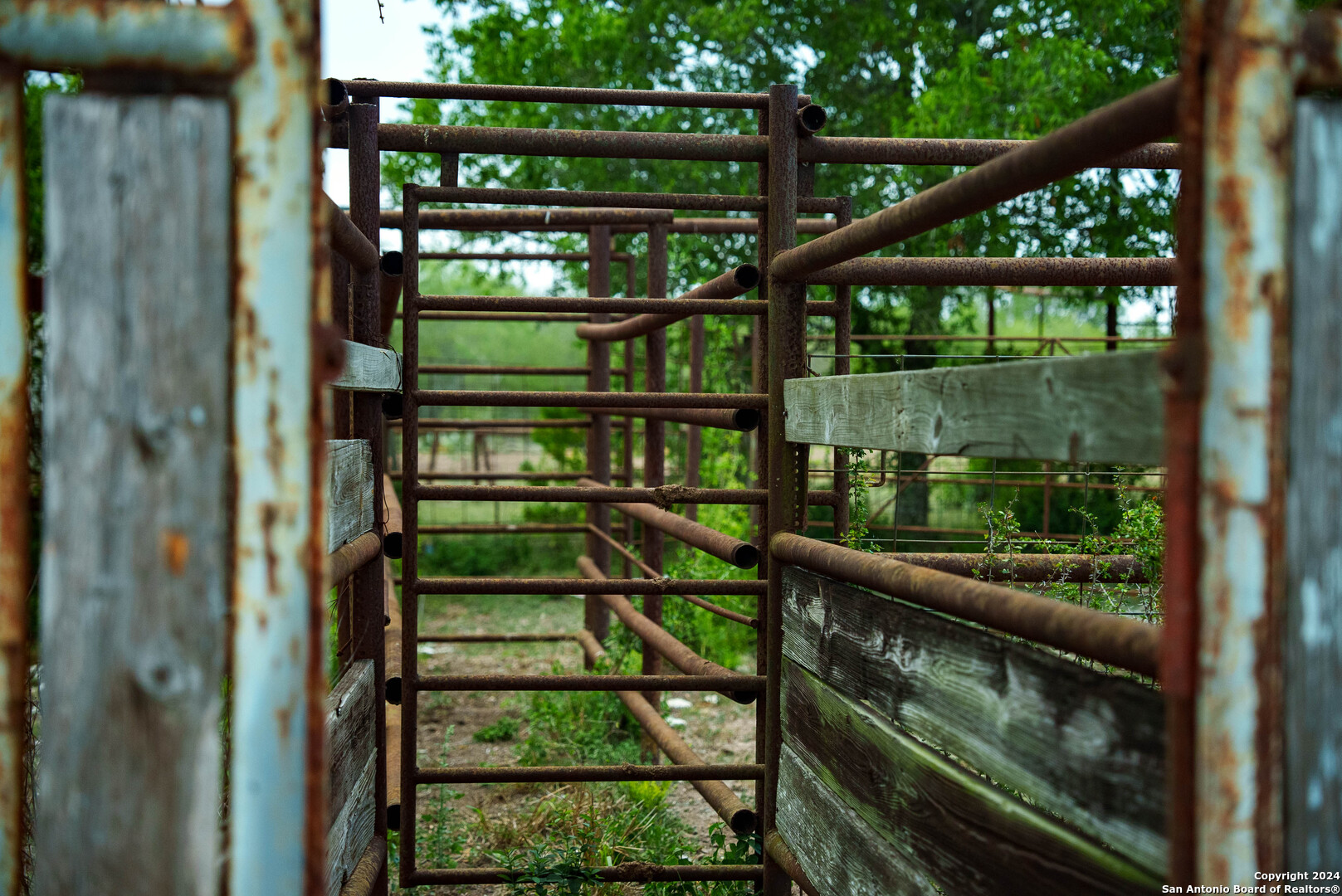 70 acres in Duval County | Ponderosa Ranch | 000 Hwy 339
