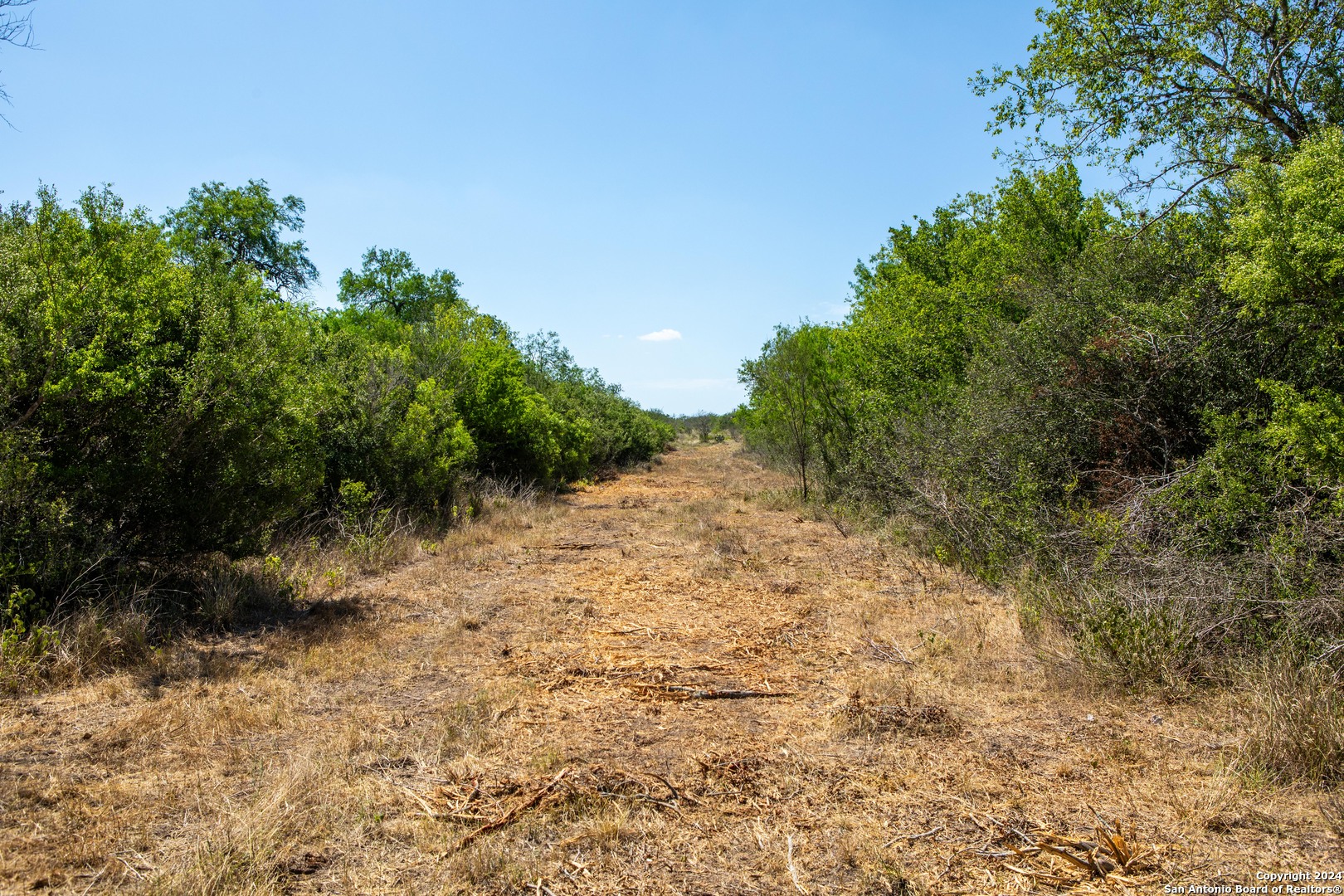 000 County Road 346