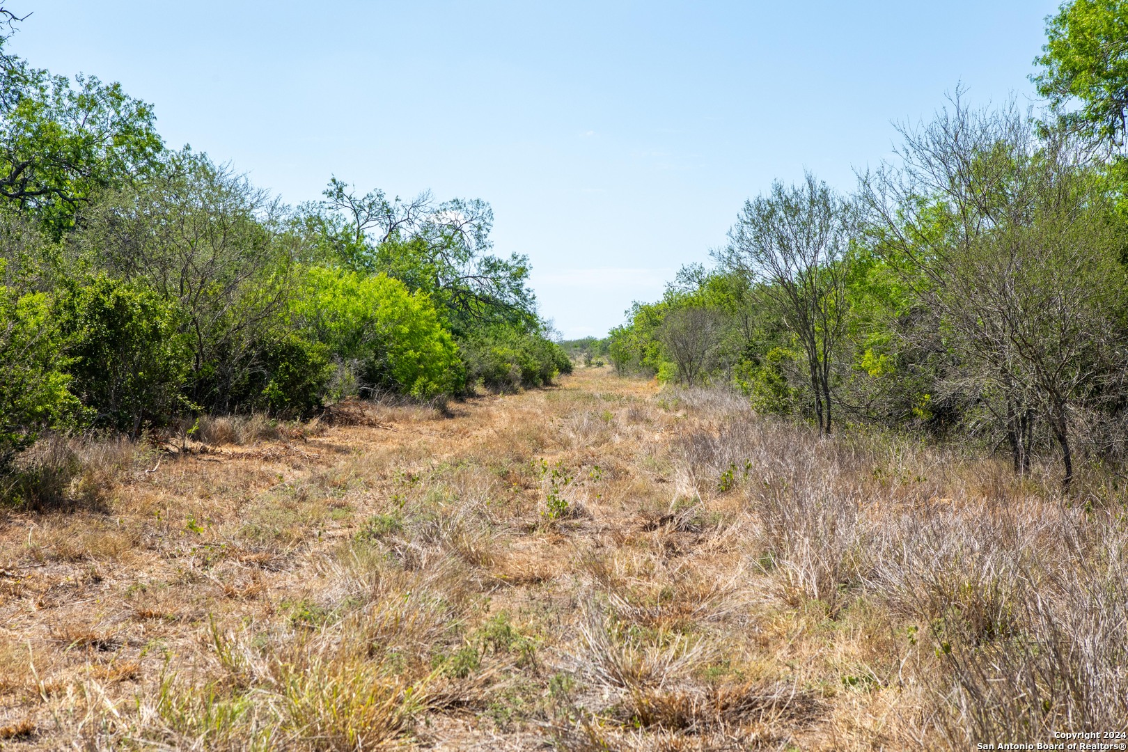 000 County Road 346