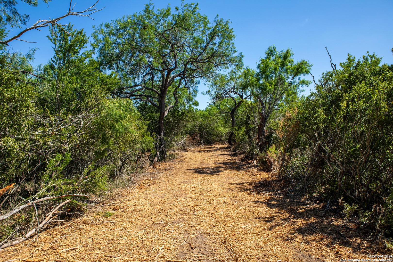 000 County Road 346