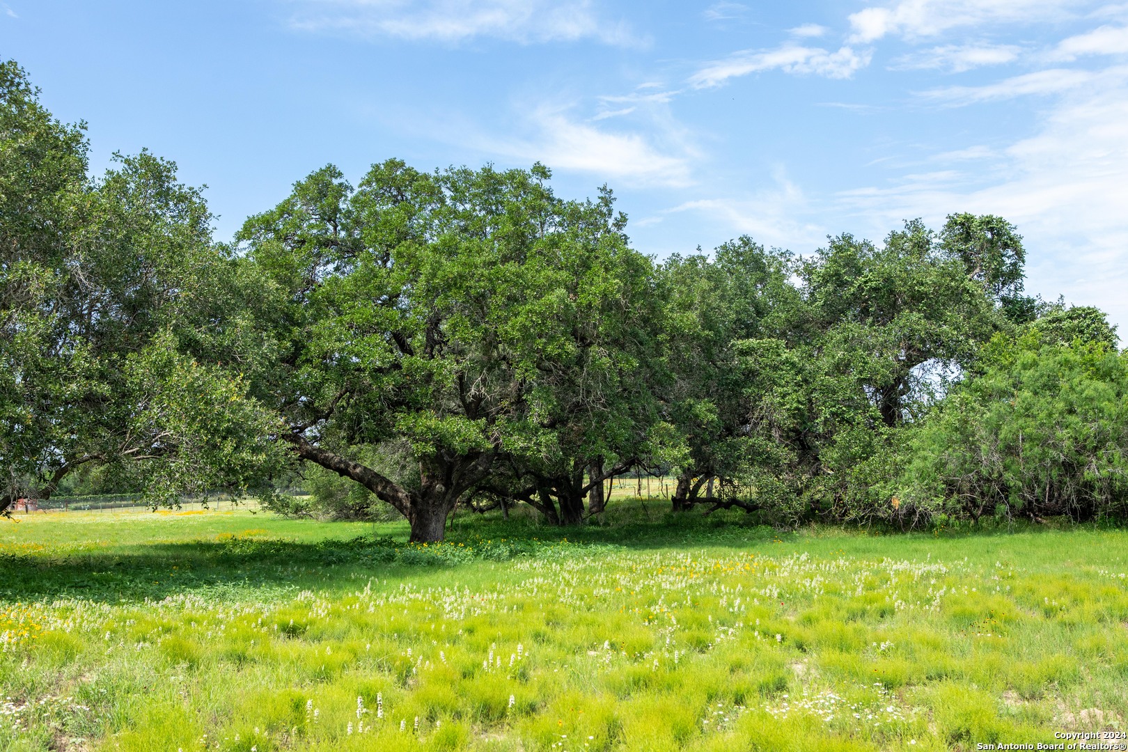 10 +/- Acres in Atascosa County