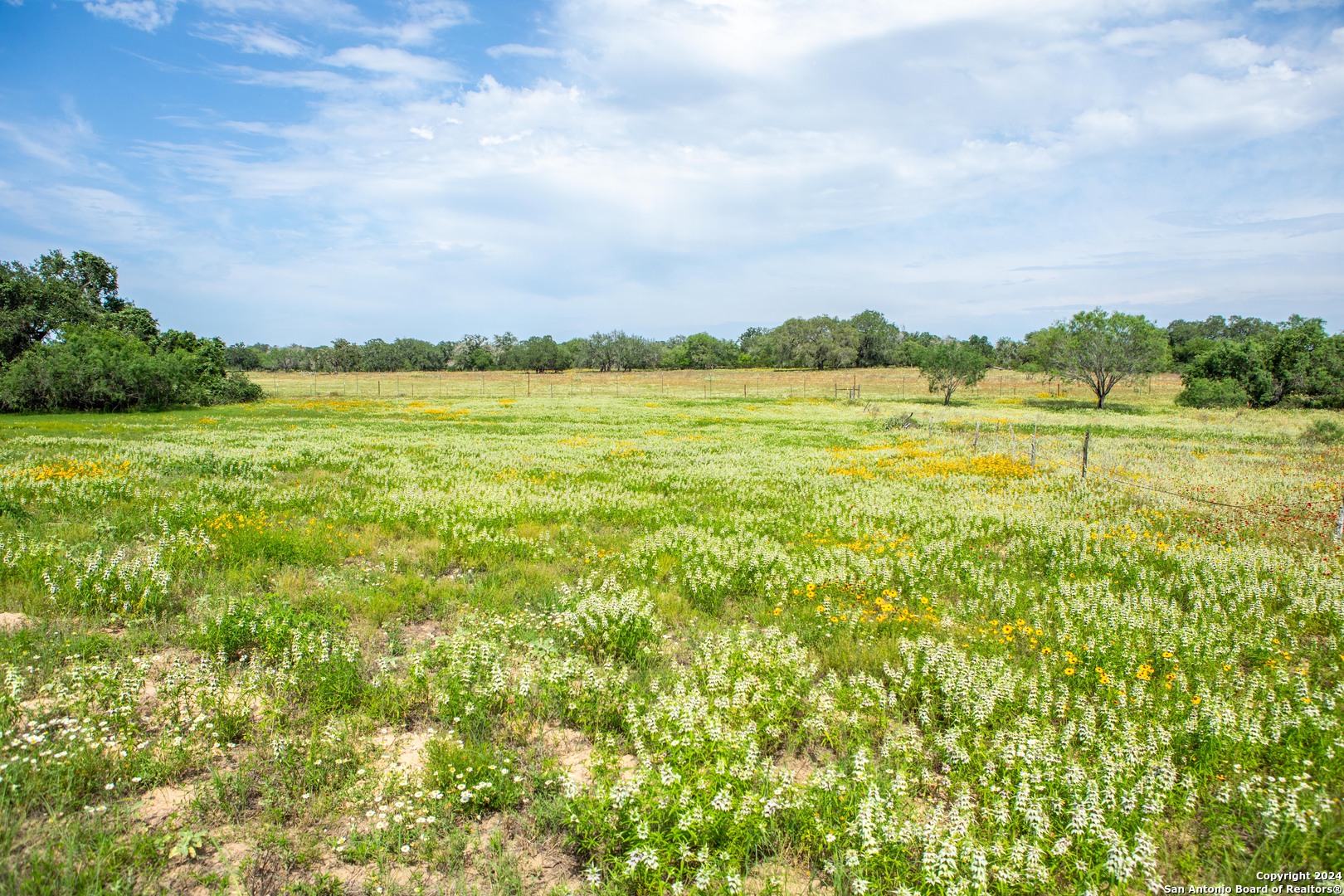 10 +/- Acres in Atascosa County