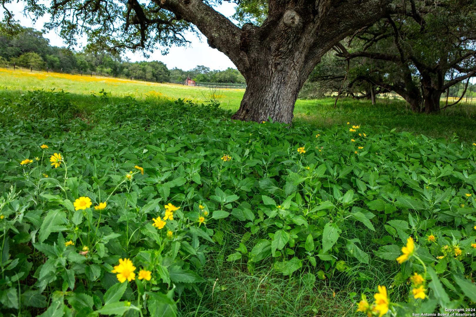 10 +/- Acres in Atascosa County