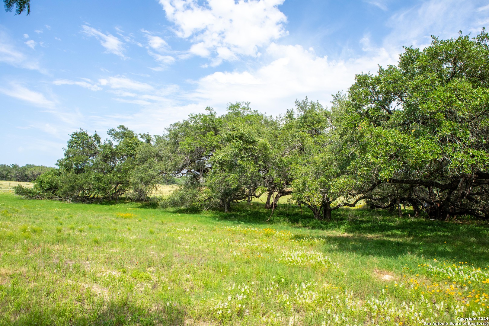 10 +/- Acres in Atascosa County