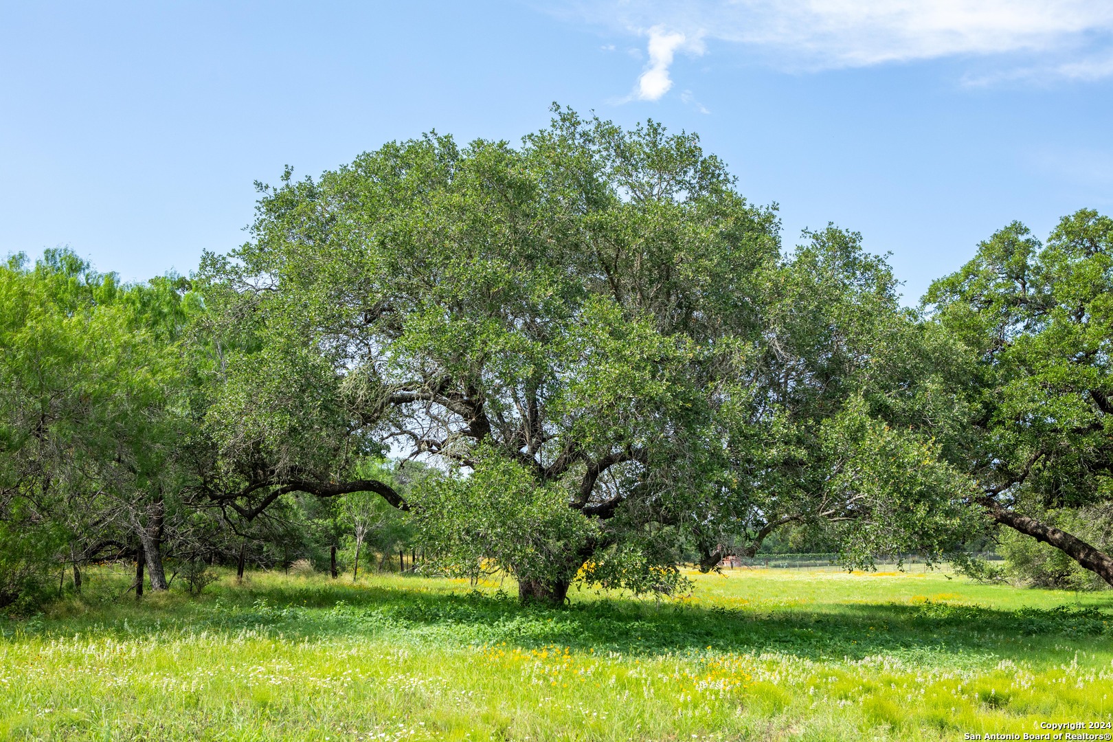 10 +/- Acres in Atascosa County