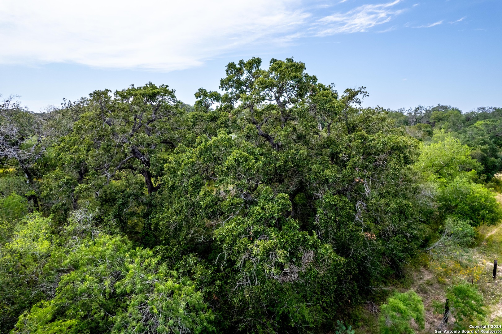 10 +/- Acres in Atascosa County