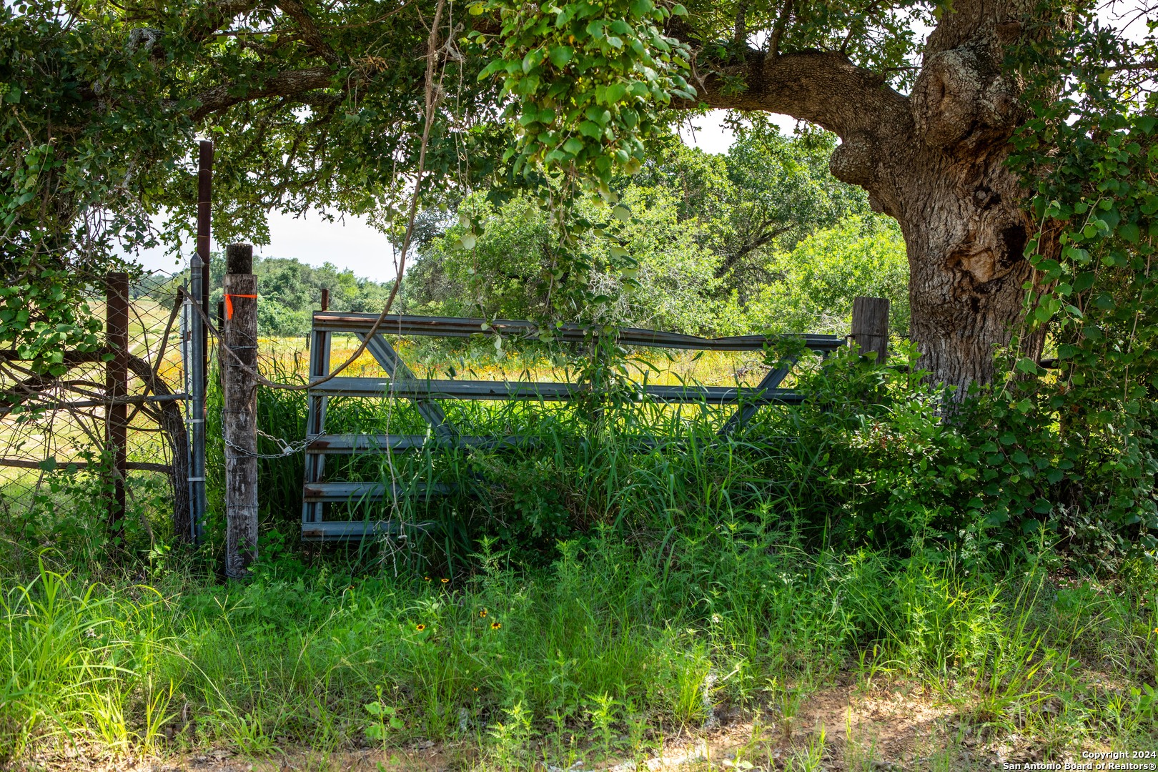 10 +/- Acres in Atascosa County