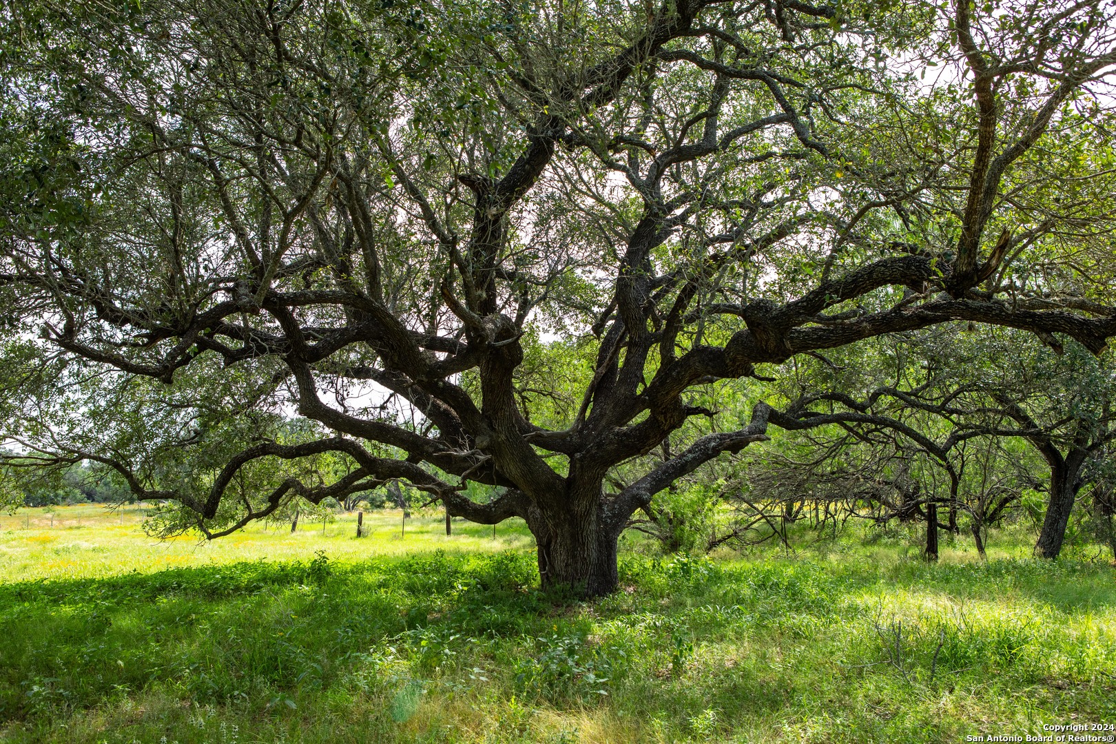 10 +/- Acres in Atascosa County