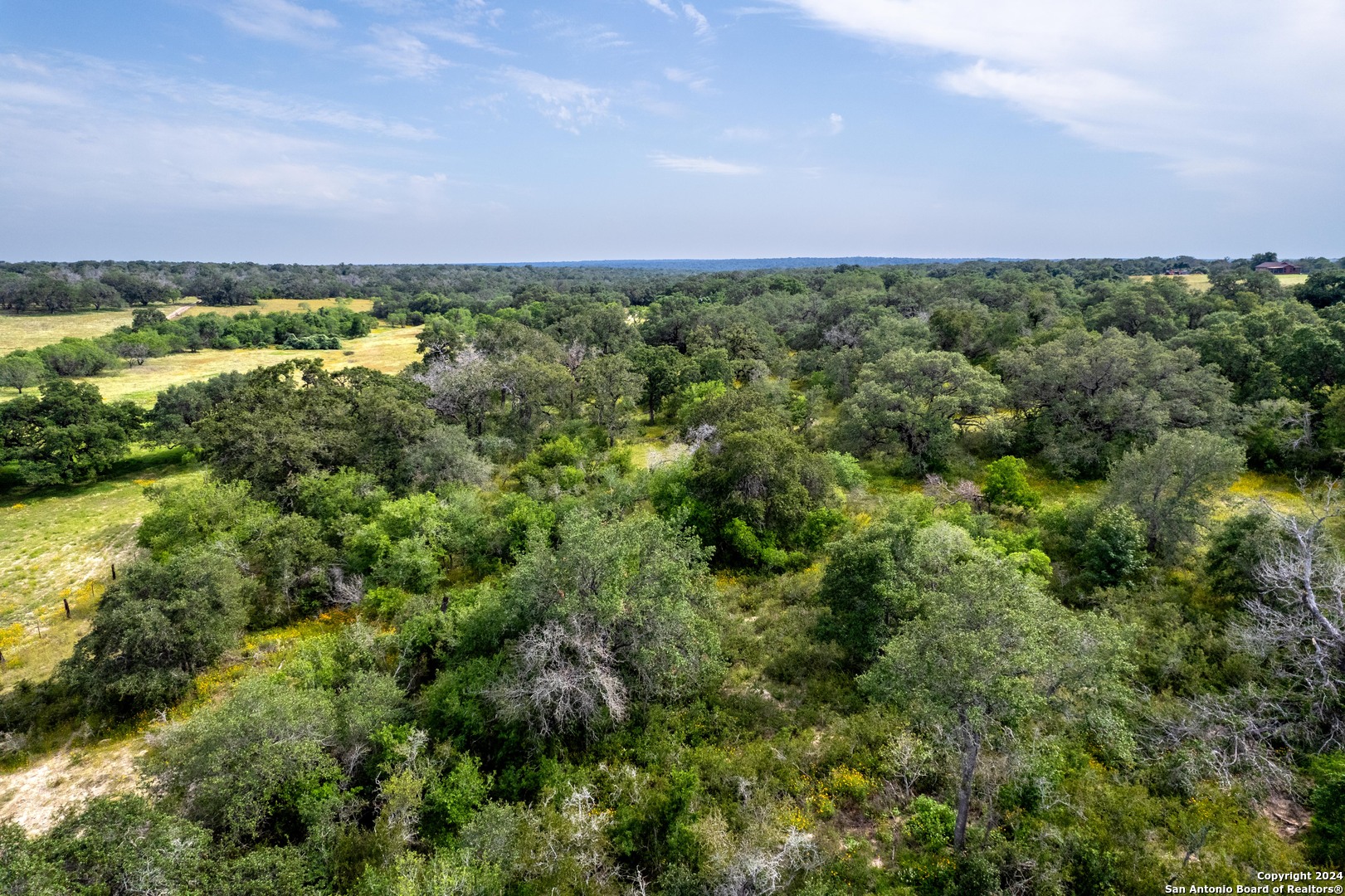 10 +/- Acres in Atascosa County