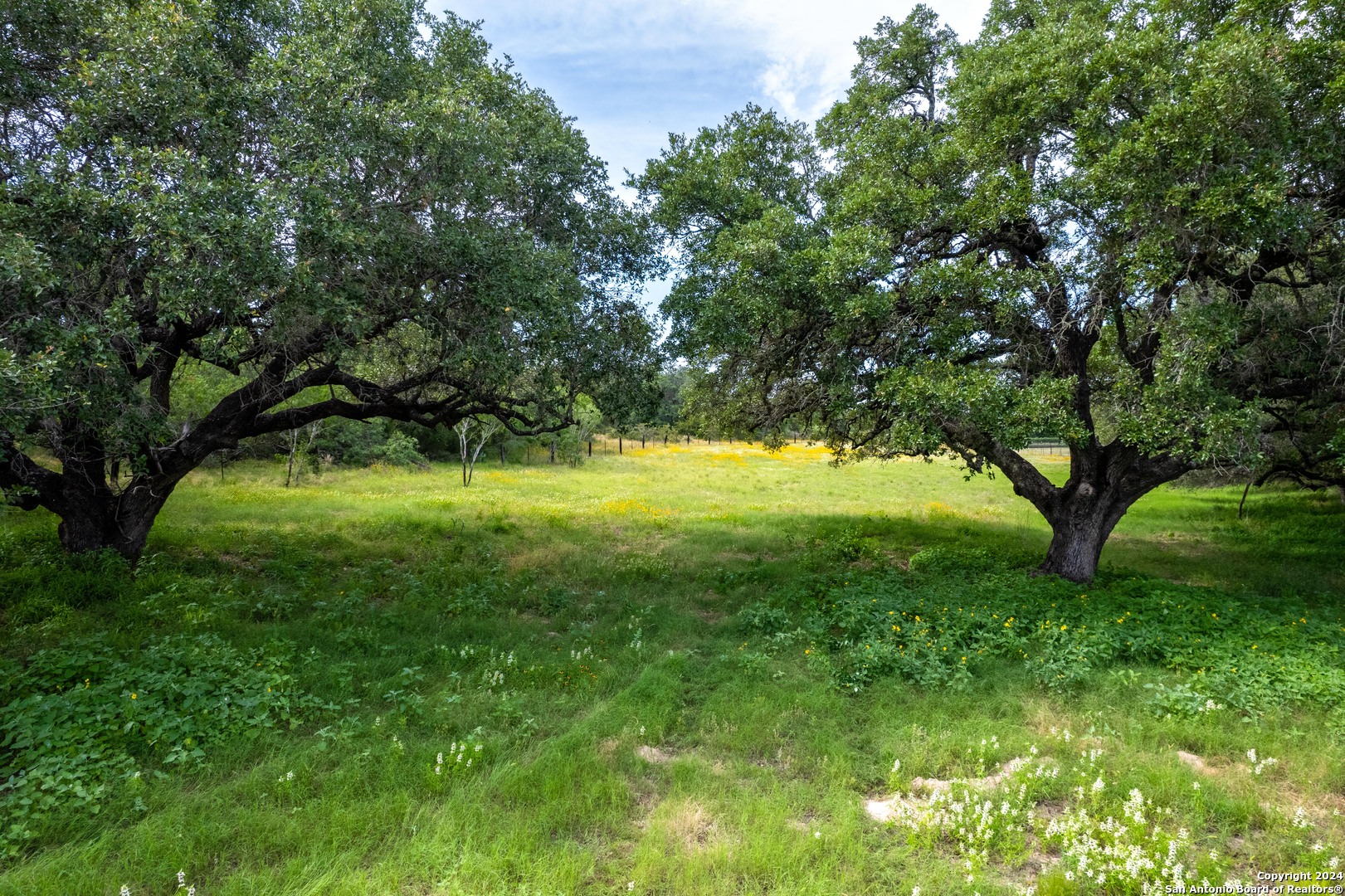 10 +/- Acres in Atascosa County