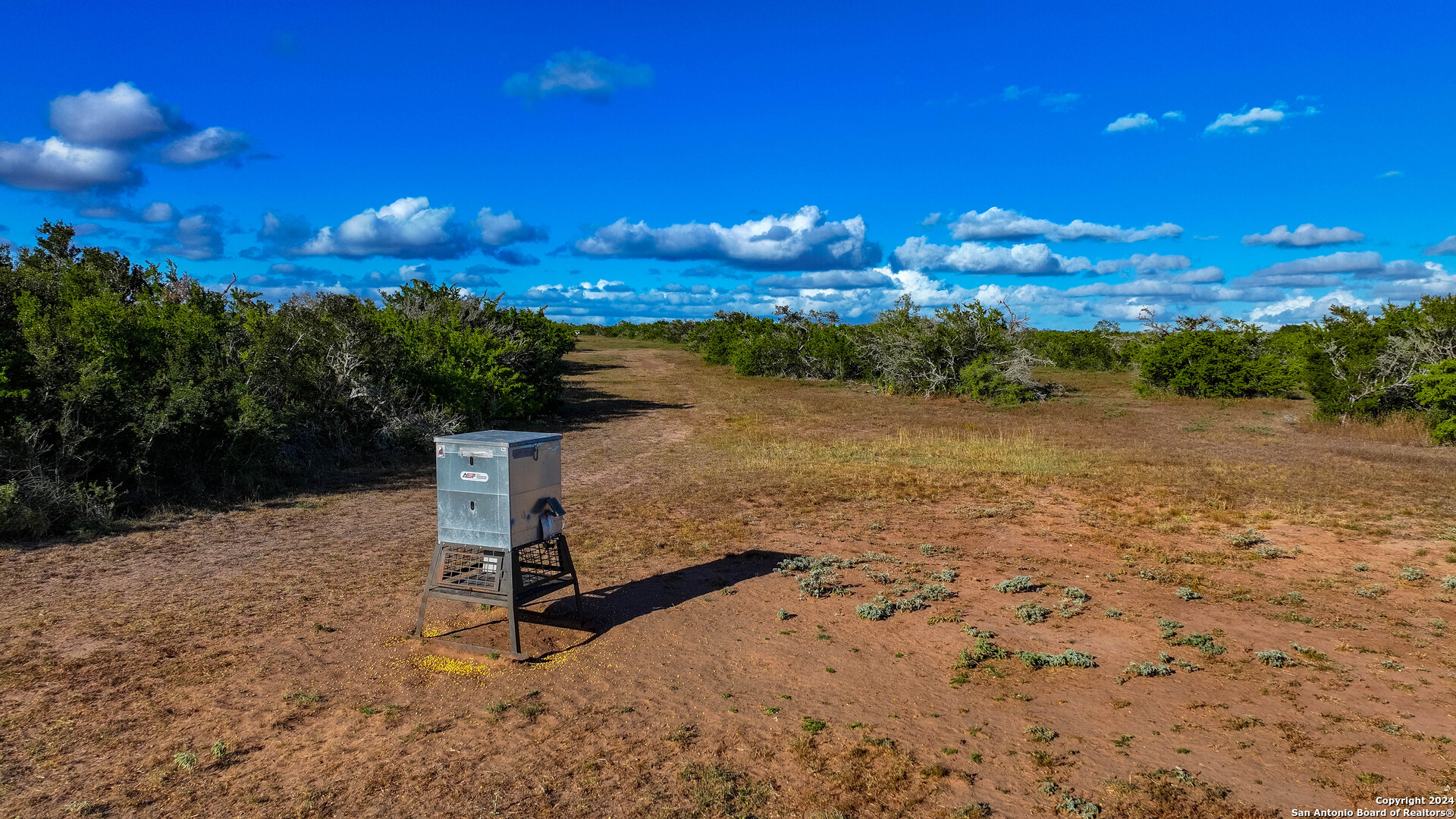 200.4 Acres in Bee County | Bella Vista Ranch | Turn-Key 