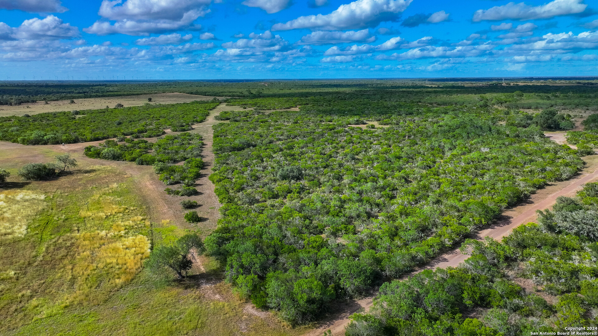 200.4 Acres in Bee County | Bella Vista Ranch | Turn-Key 