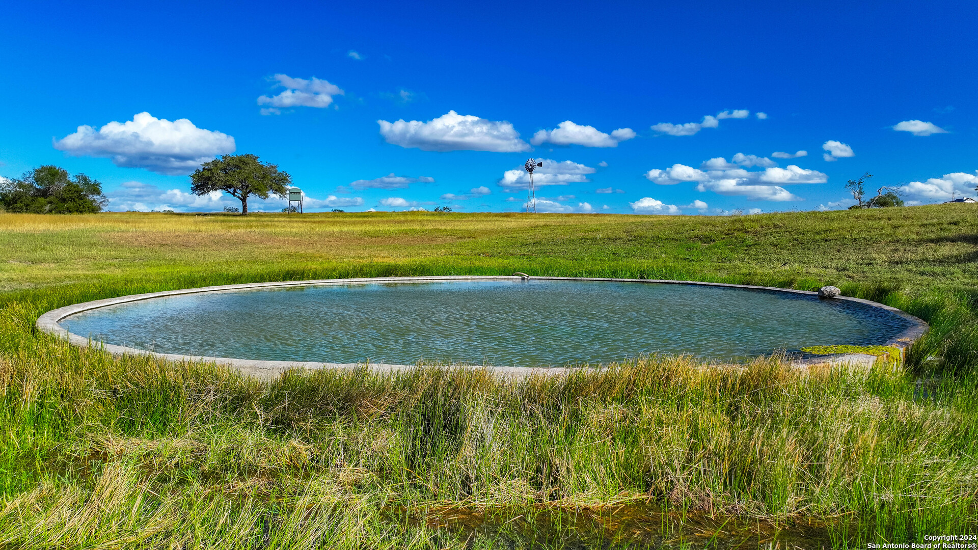 200.4 Acres in Bee County | Bella Vista Ranch | Turn-Key 