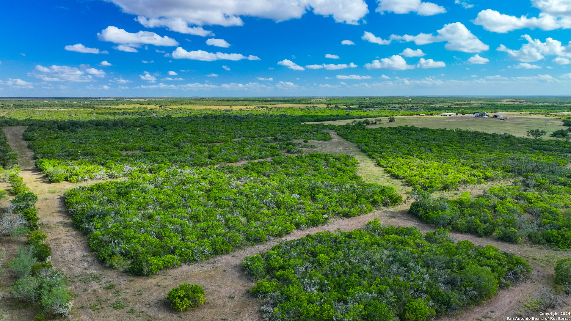 200.4 Acres in Bee County | Bella Vista Ranch | Turn-Key 