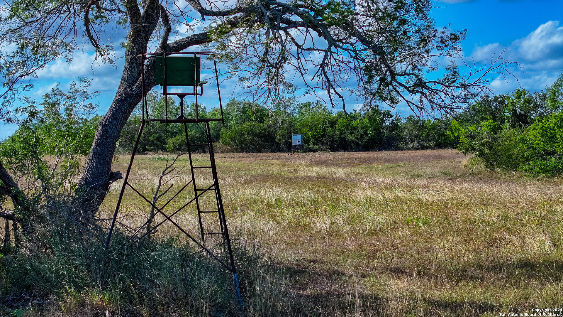 200.4 Acres in Bee County | Bella Vista Ranch | Turn-Key 